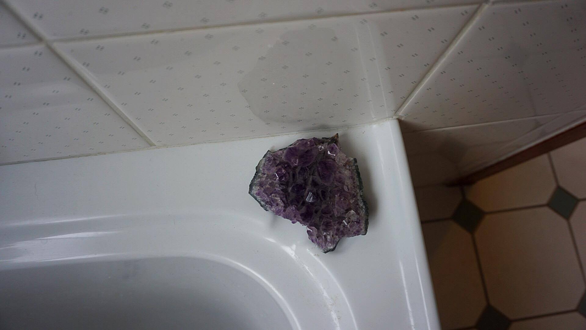 23847905_10212765737850803_356519157_o