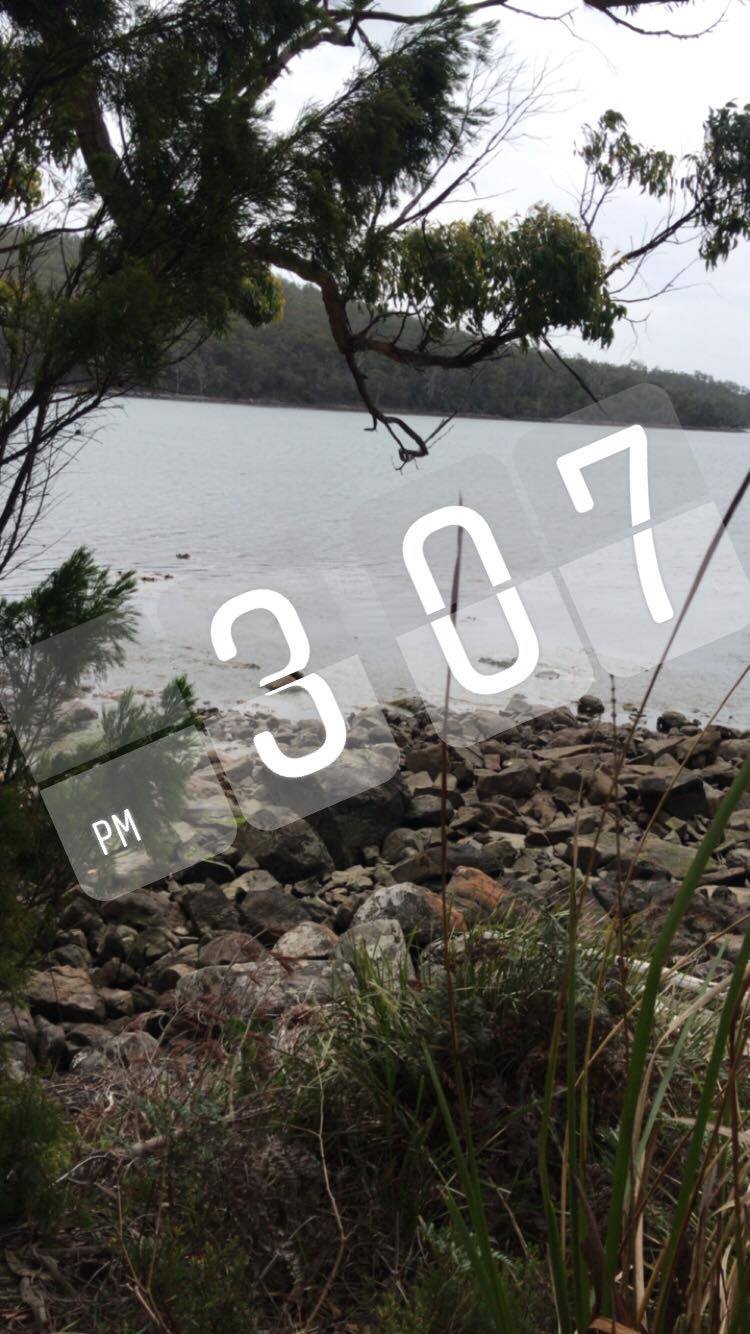 24818841_10212868175611683_209046869_o