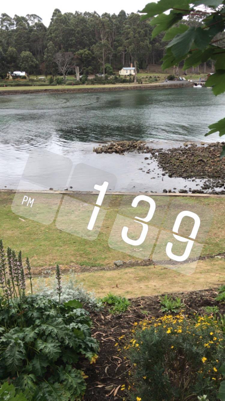 24946109_10212868175651684_388164872_o