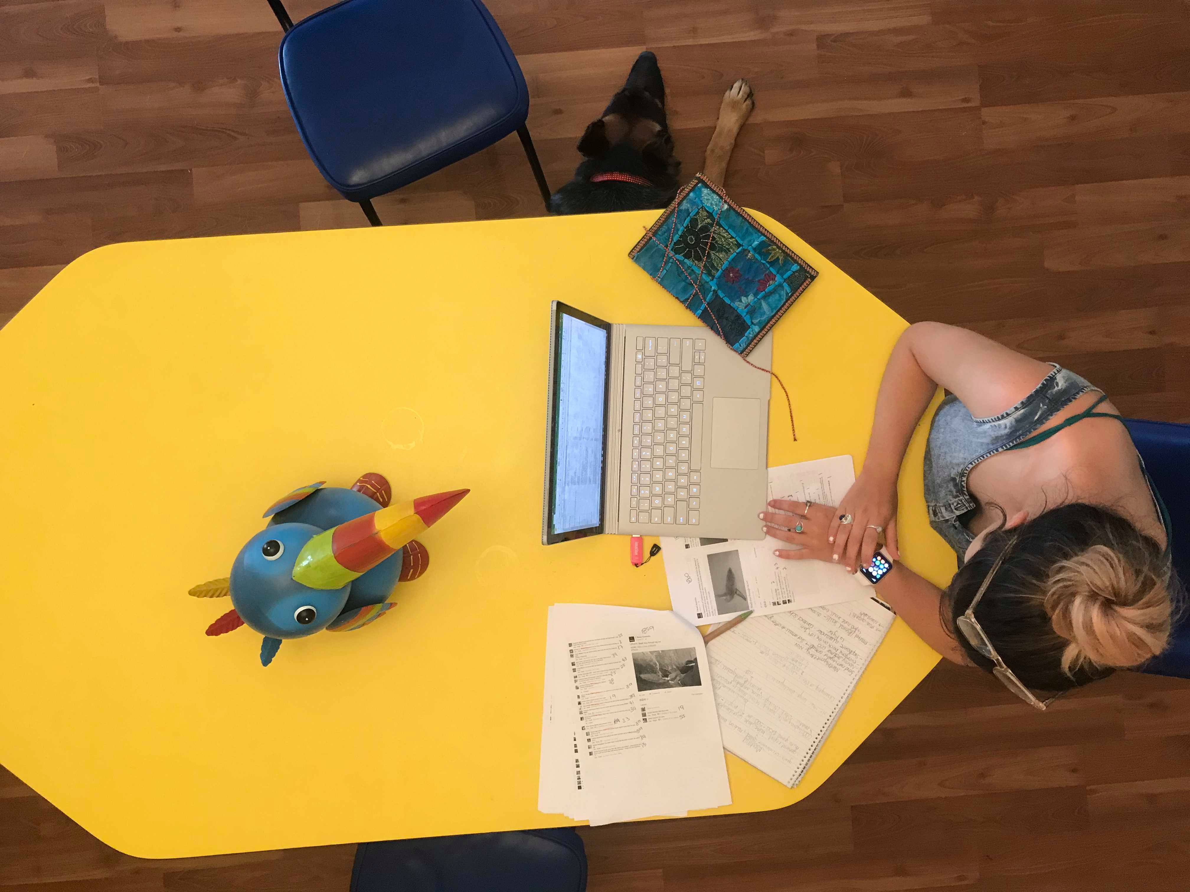 25371255_10212923804002358_1920973651_o