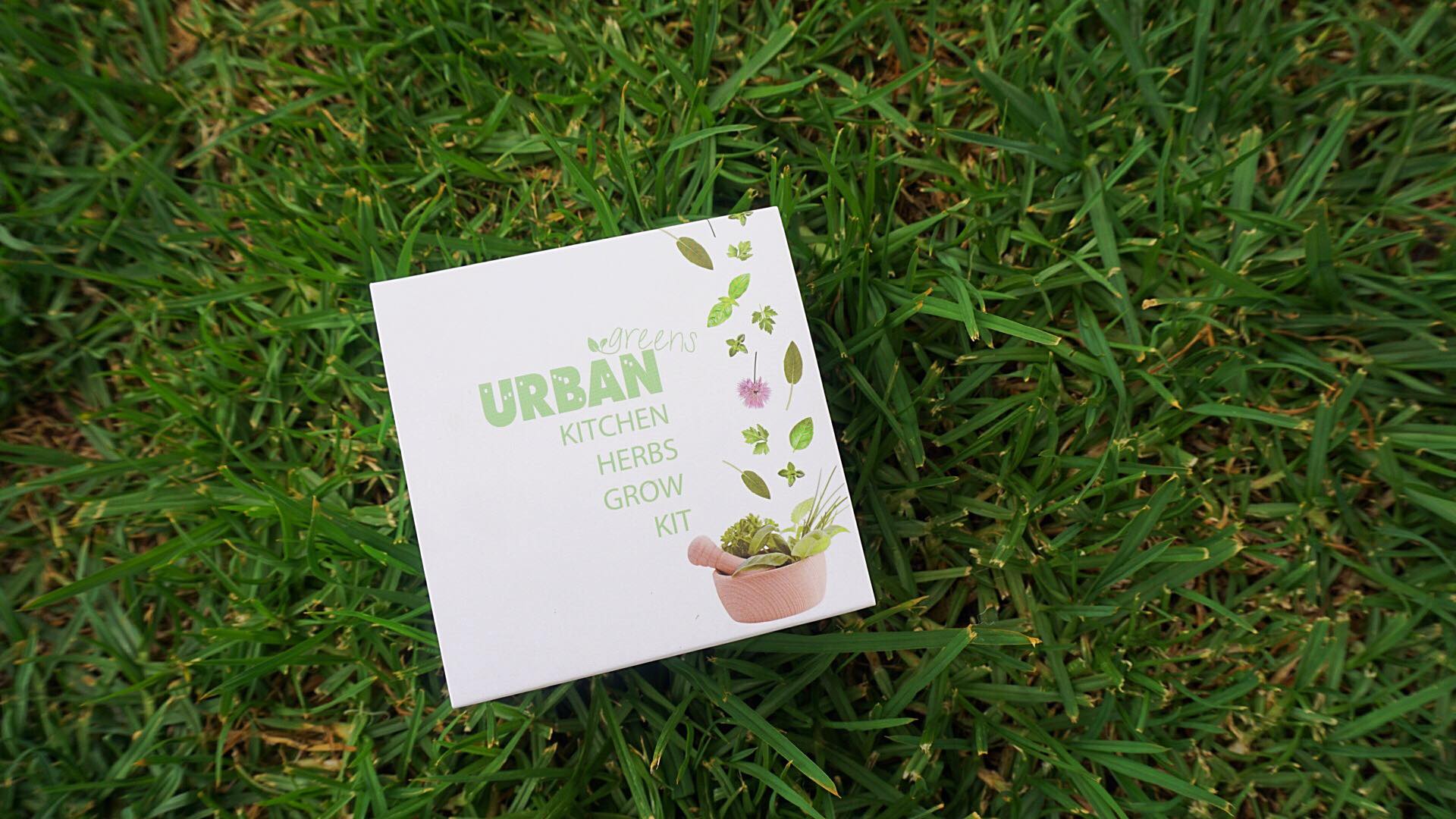 25510855_10212962322325292_673249946_o