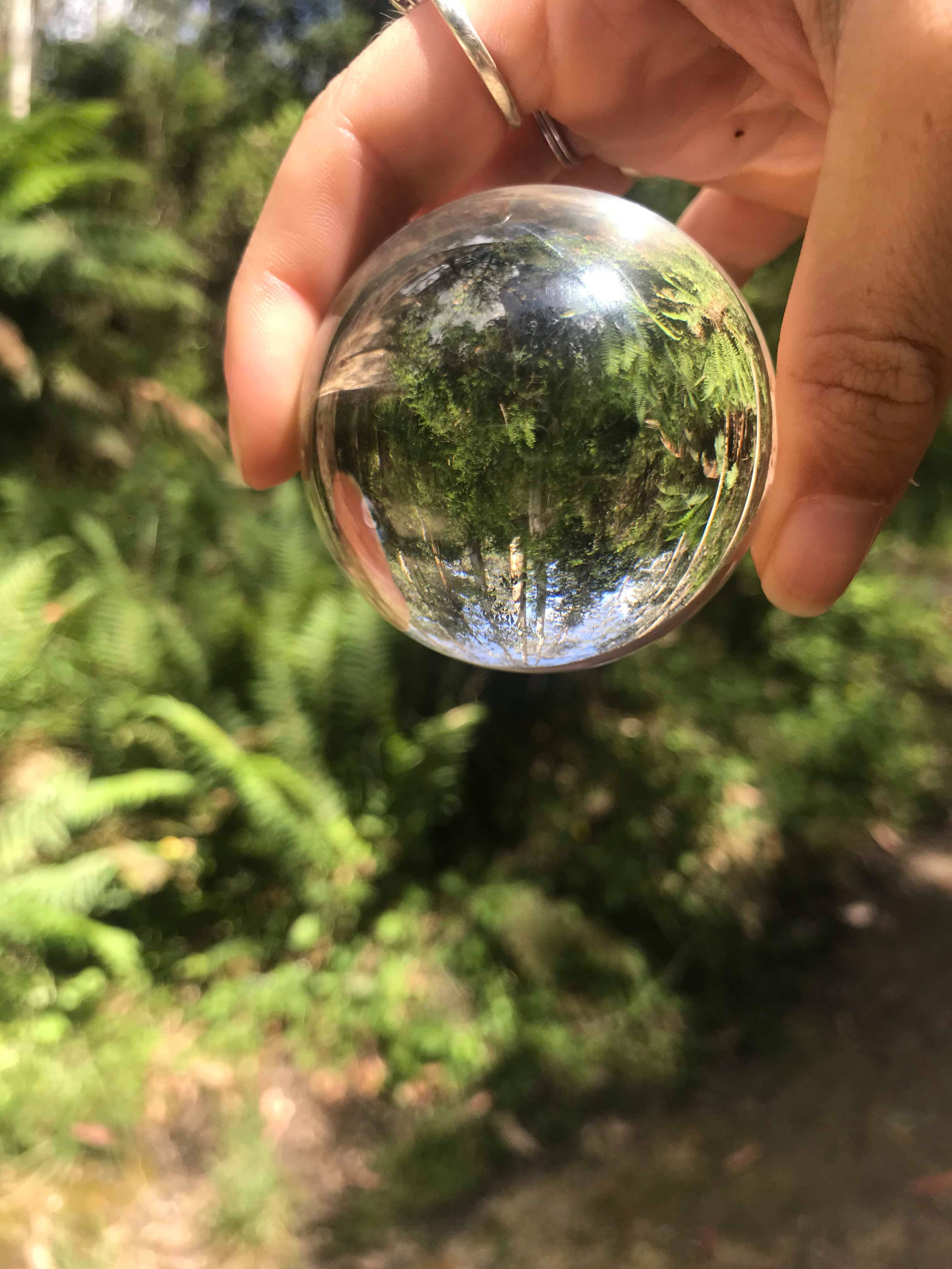 26142743_10213027379711686_1504915666_o