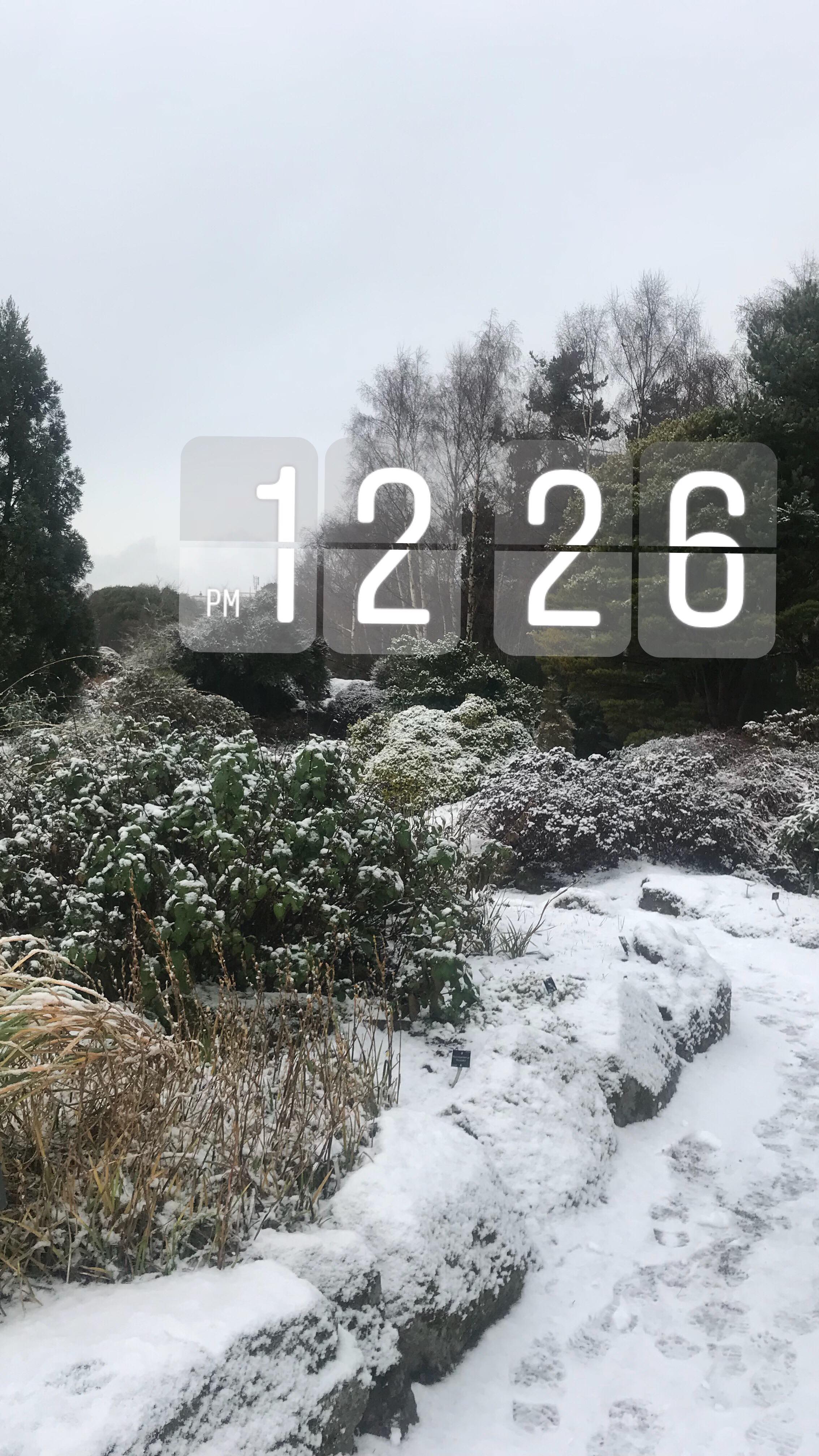 26238323_10213046793797026_1180389926_o