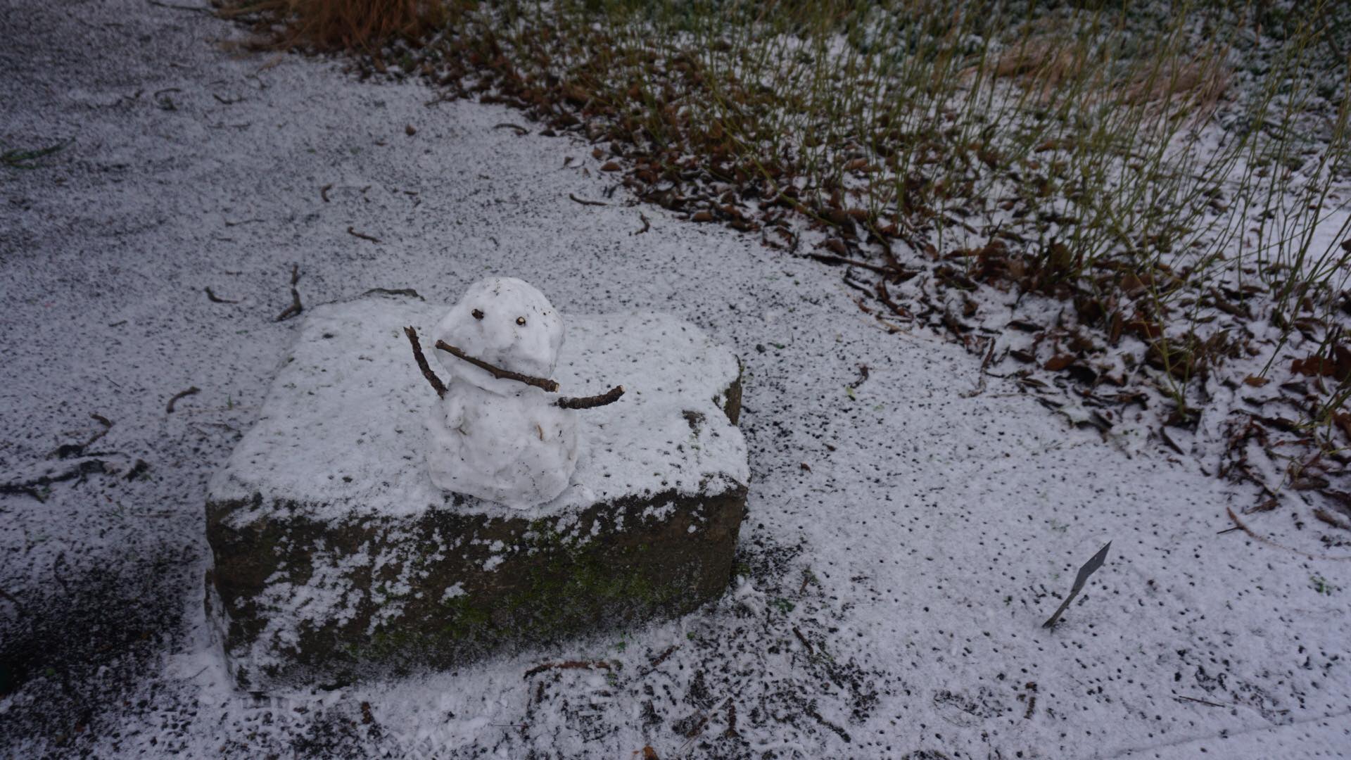 26908950_10213152809207345_1100491305_o