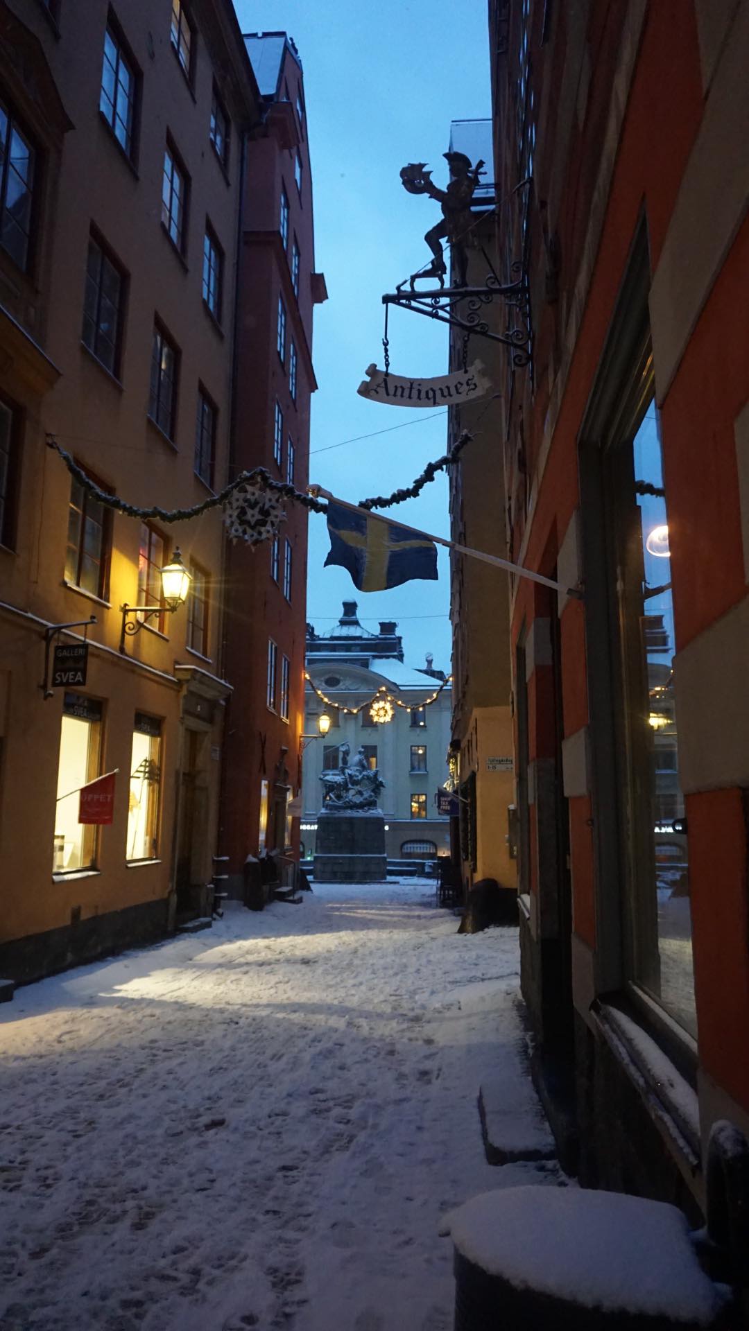 26972052_10213191286249247_678117053_o