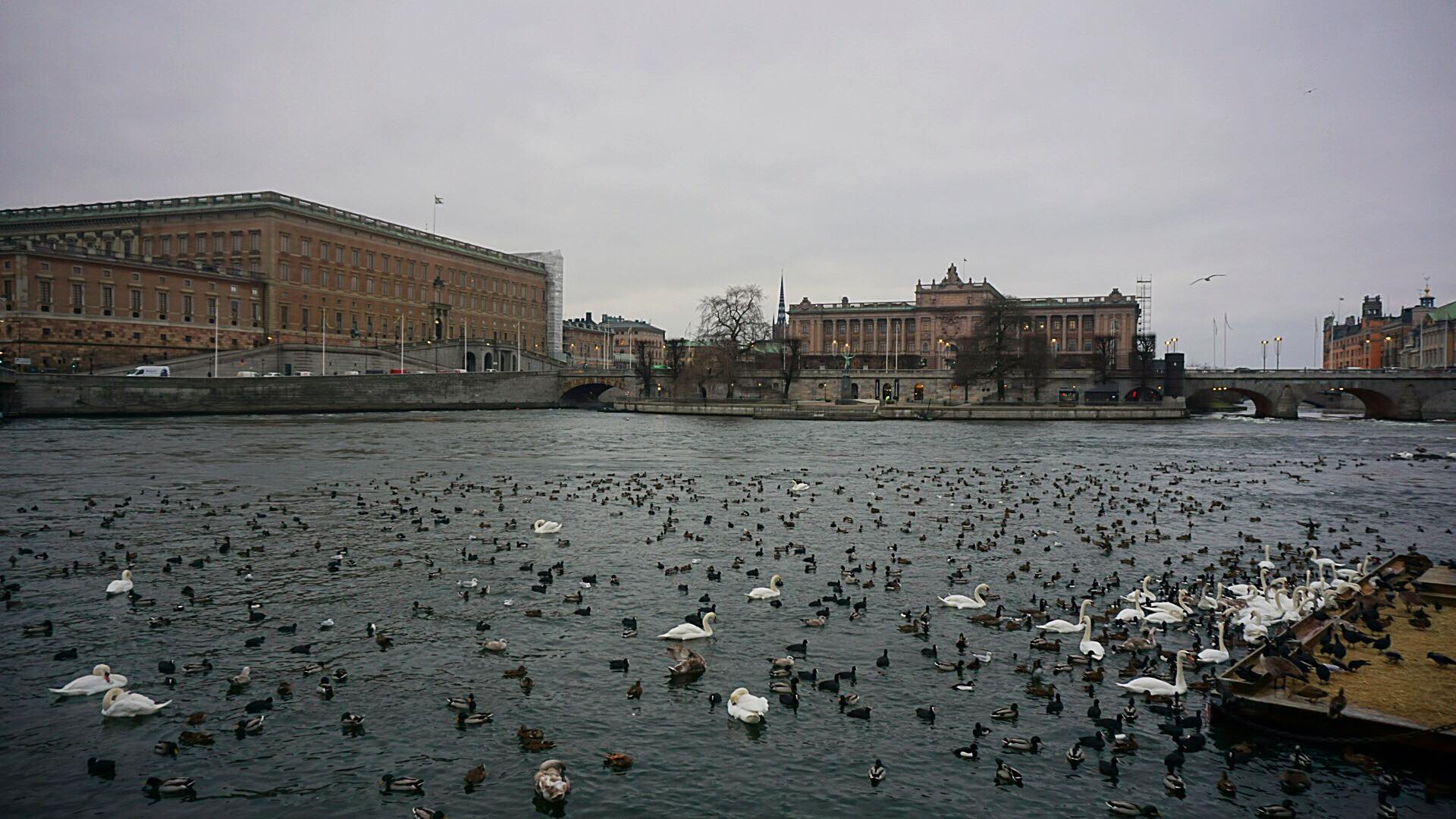 26981761_10213191284449202_1668549844_o