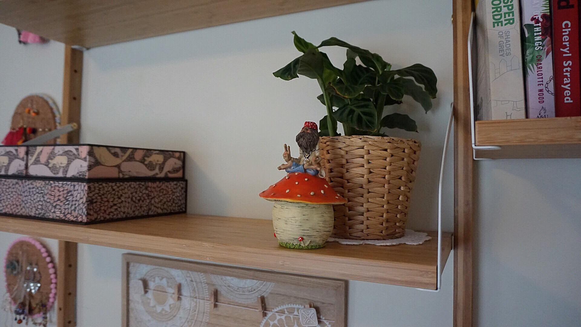 27536710_10213304541120548_781614285_o