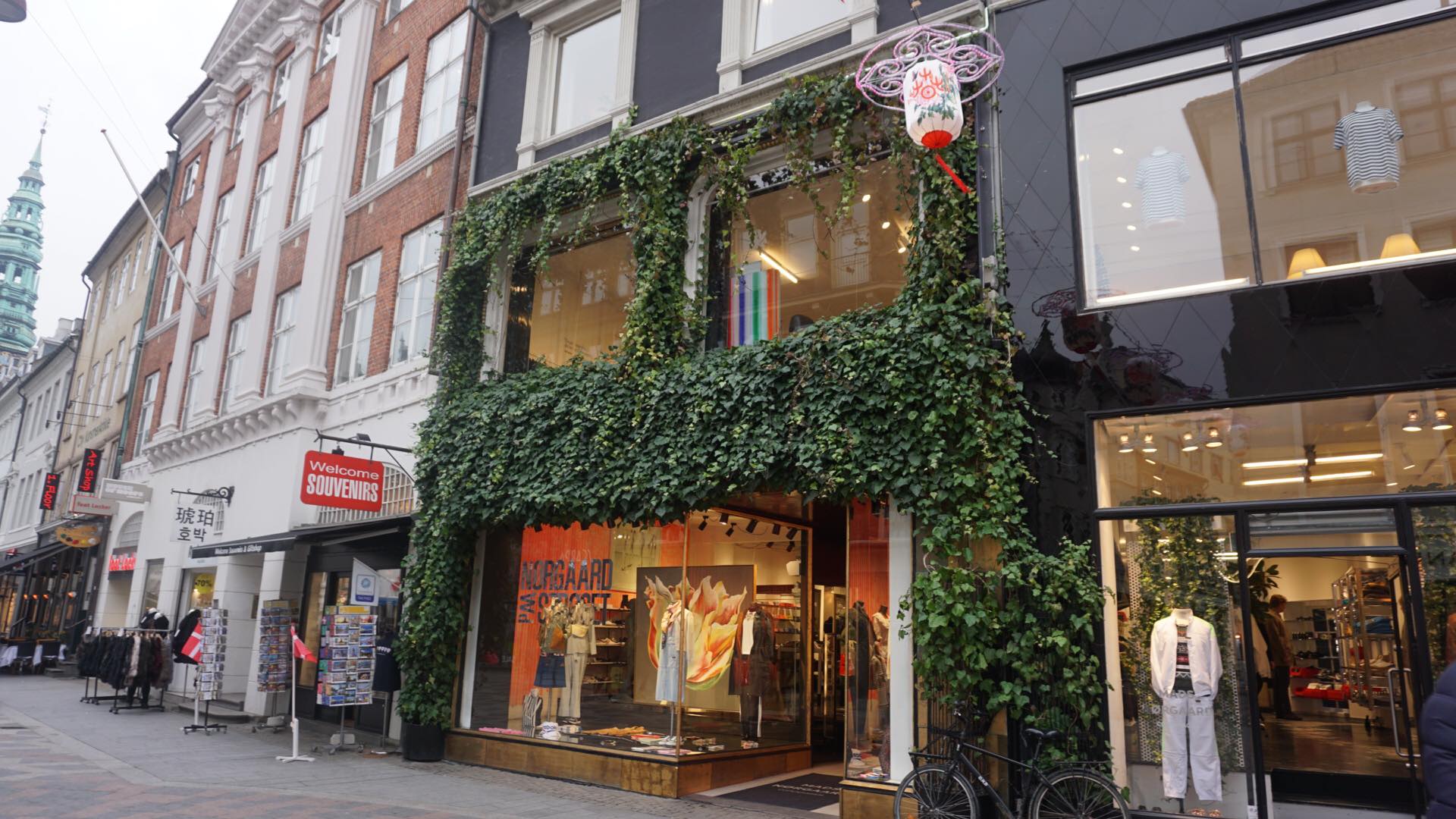 27537156_10213312768286222_724465789_o