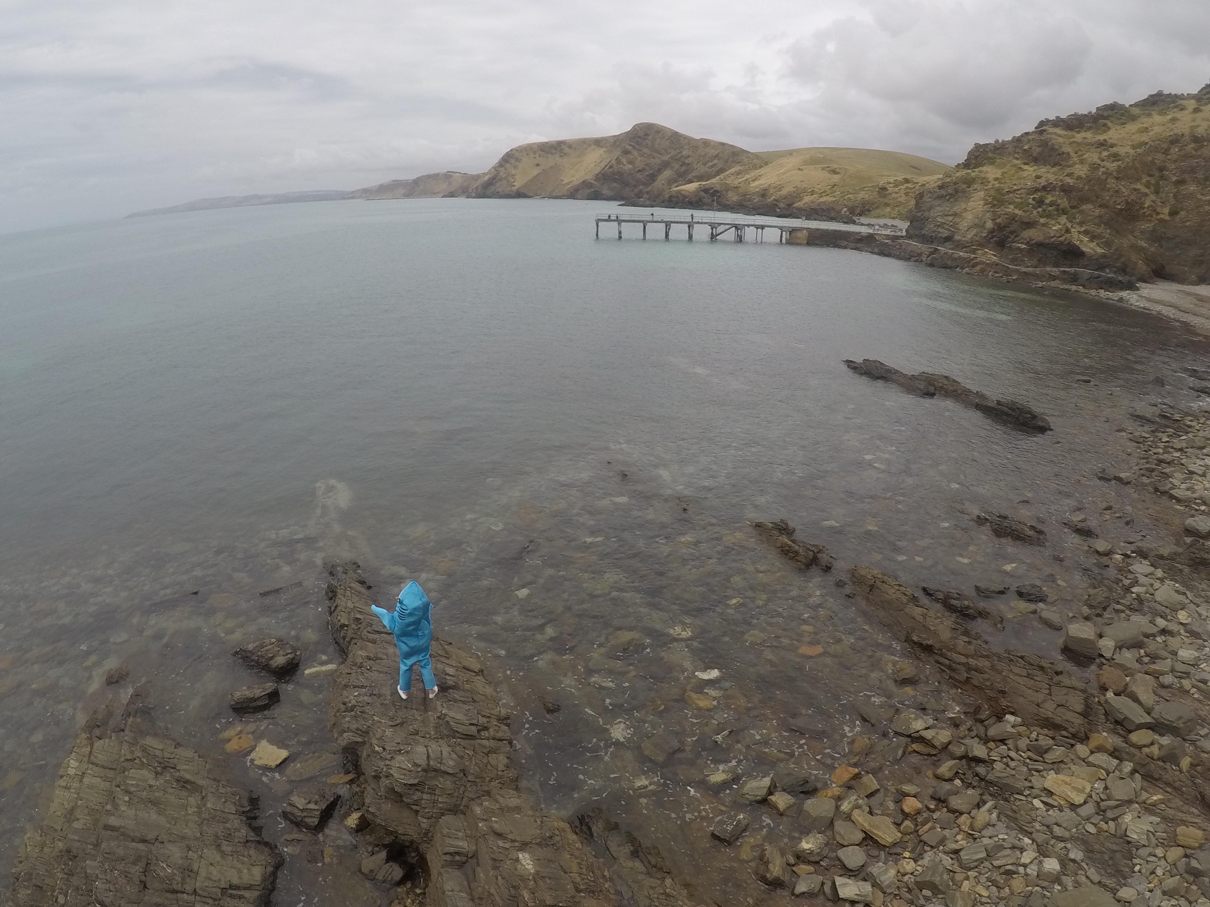 27906574_10213393060853486_1912648783_o