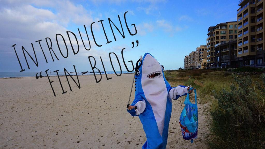 Introducing the “Fin-Blog” Segment