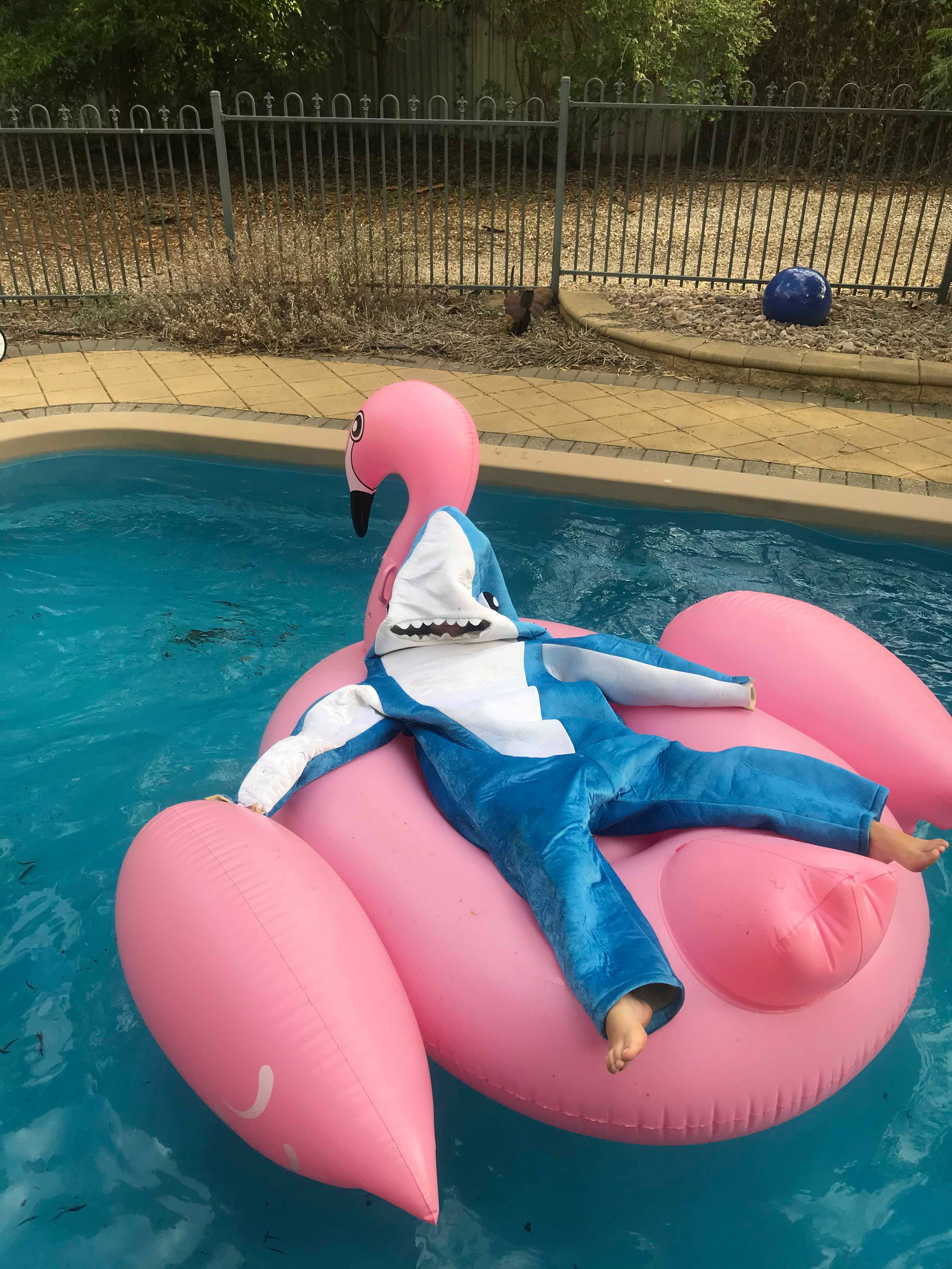 27950864_10213393050973239_931130361_o