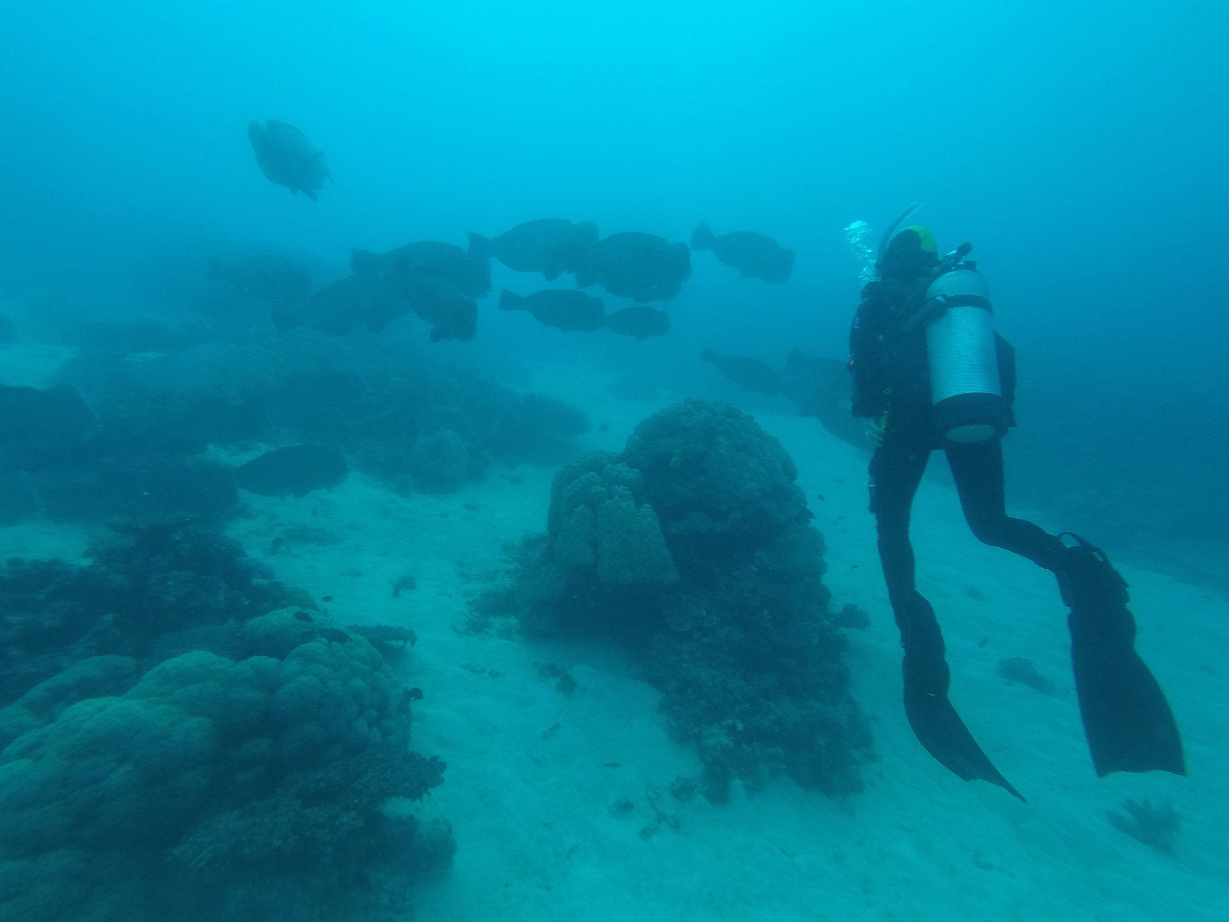 28500653_10213530999621869_974910935_o