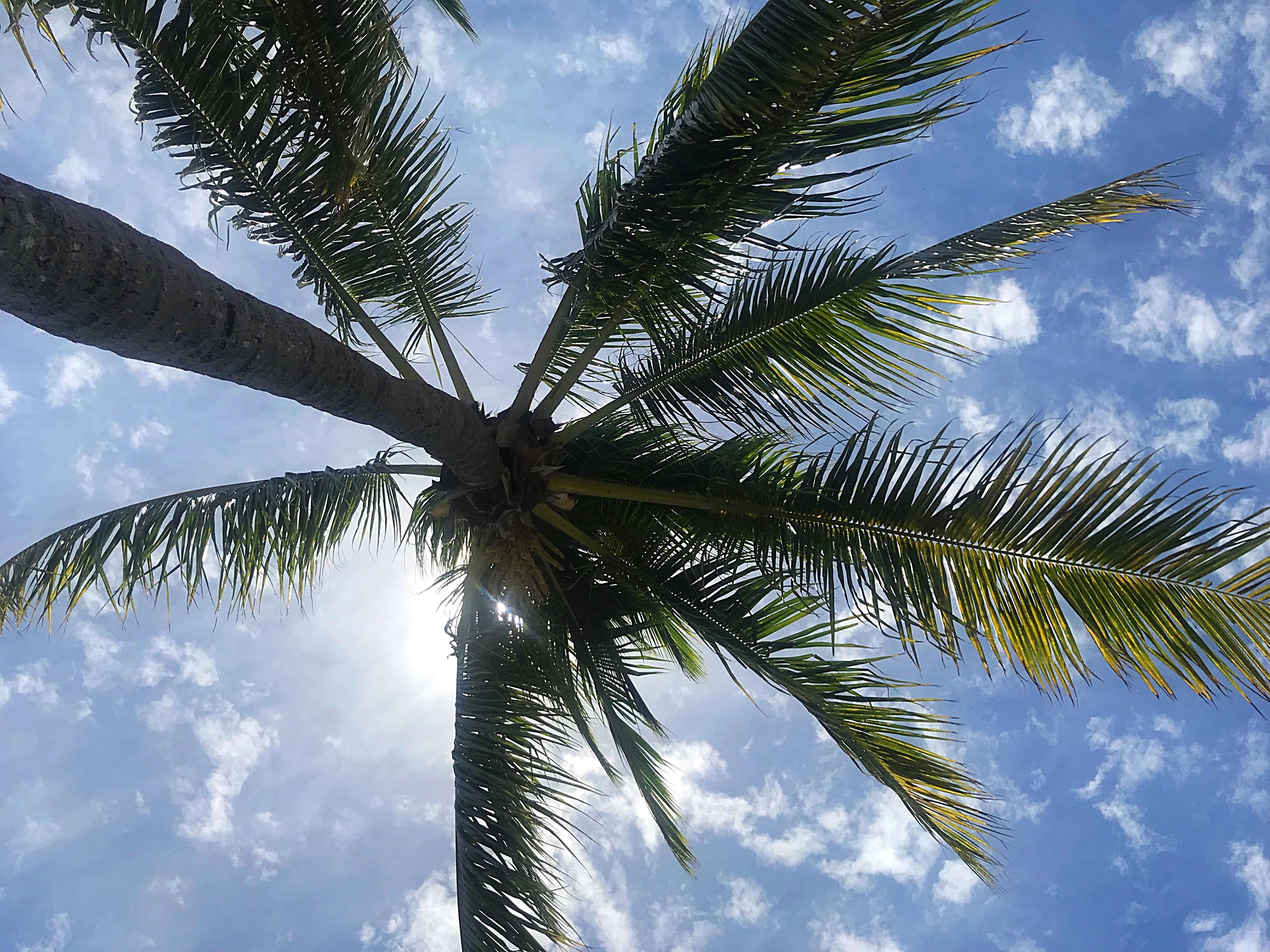 28503926_10213531006302036_1645850567_o