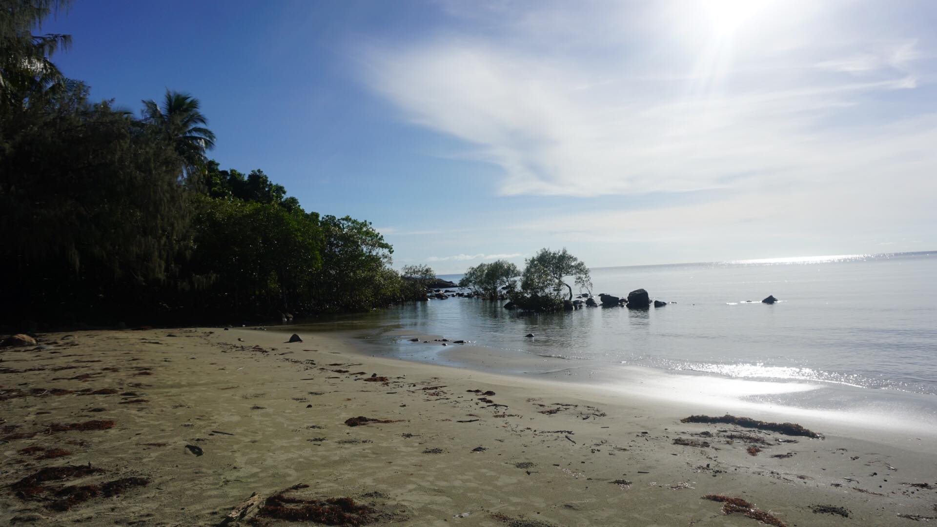 28547538_10213530994461740_1611297647_o