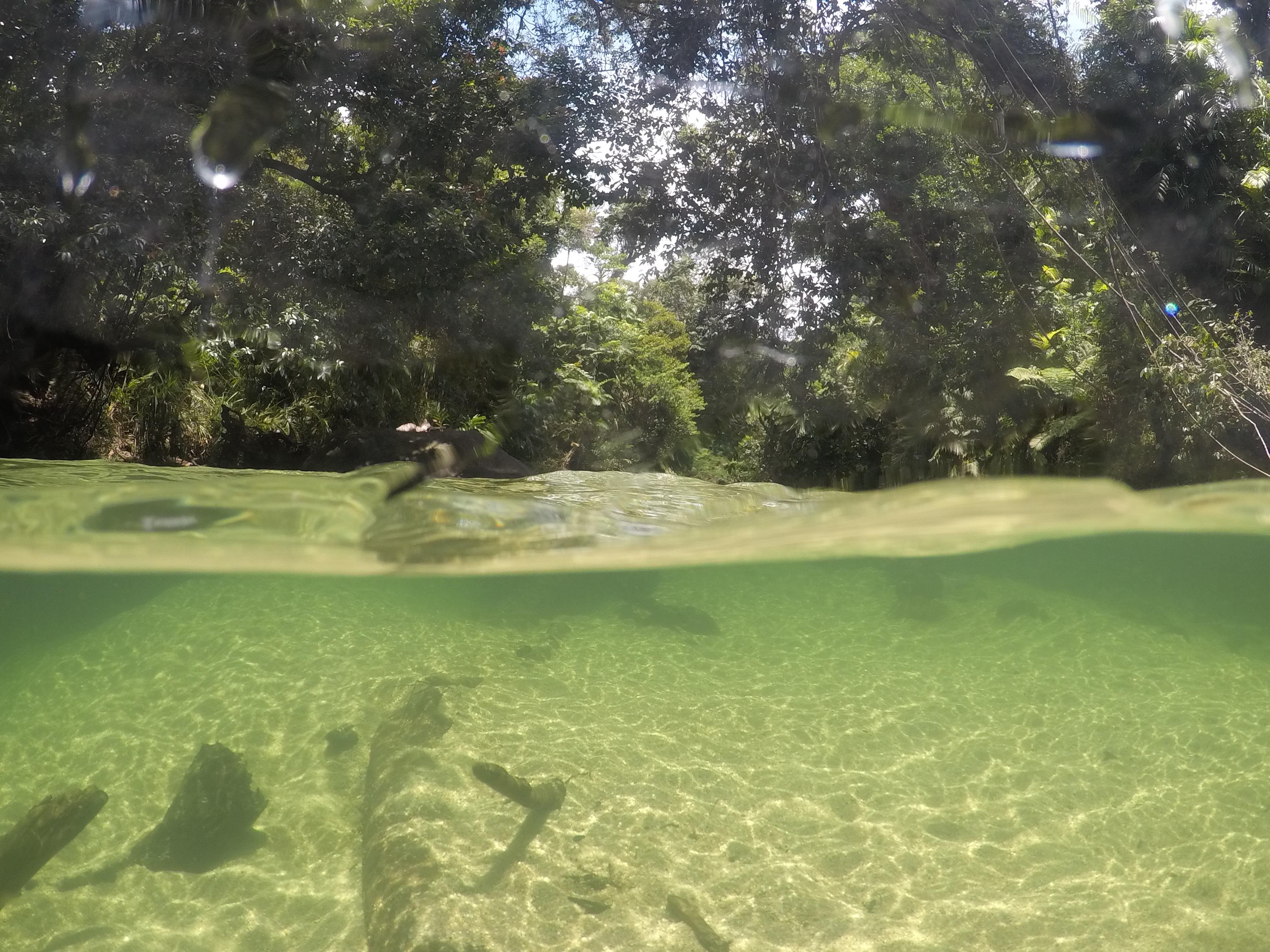 28583898_10213531006782048_1974267414_o