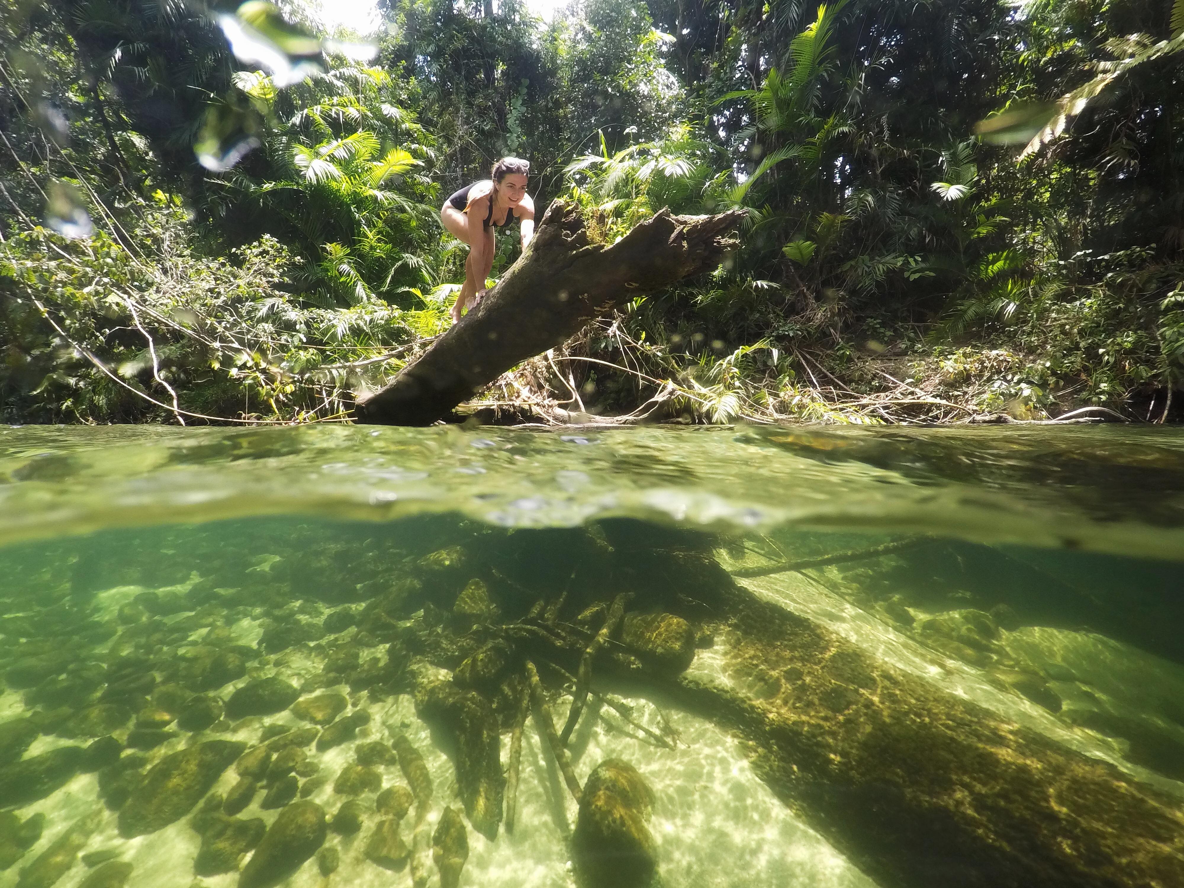 28640876_10213531006382038_2135091543_o