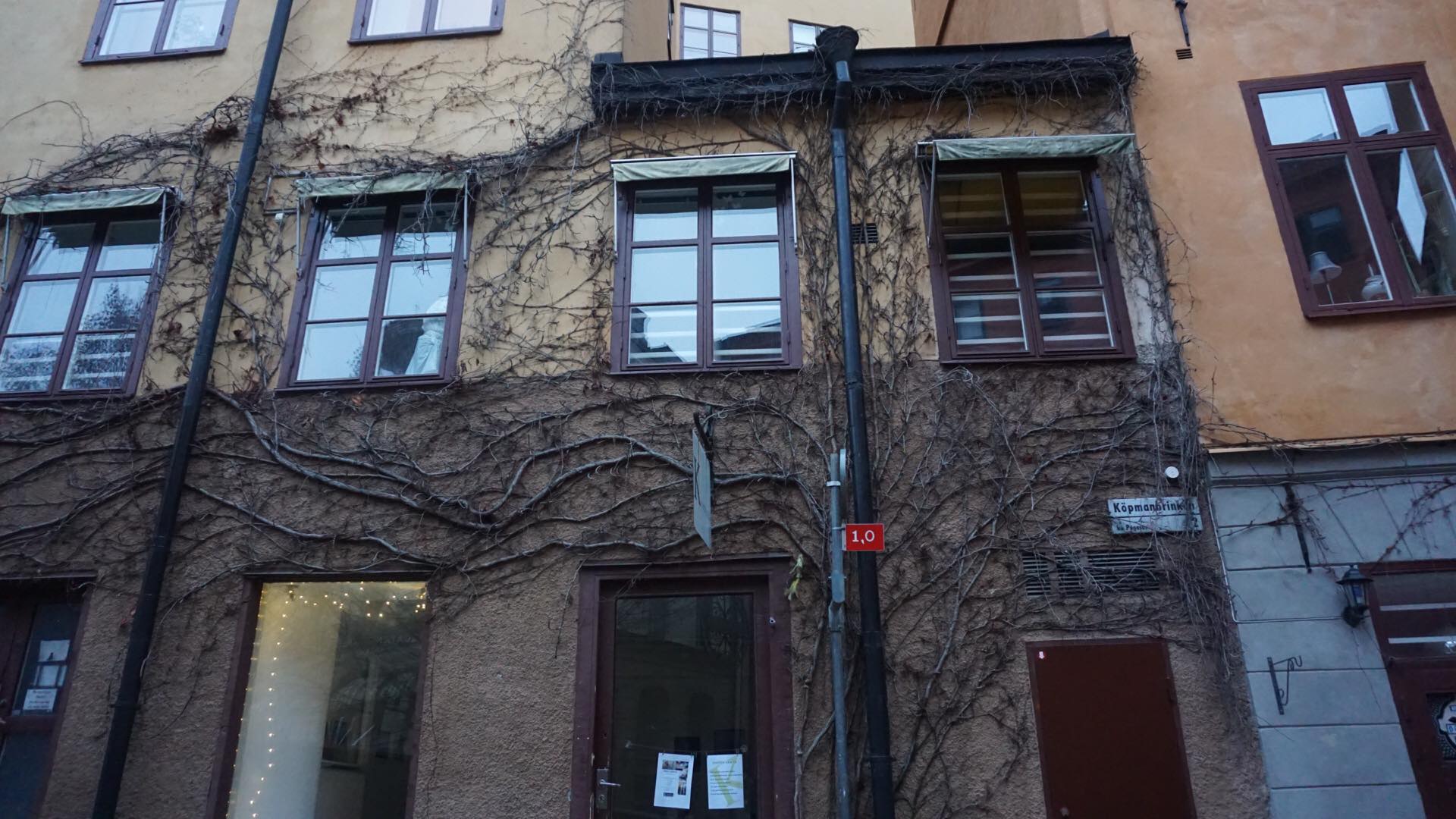 29693457_10213785823512307_1217186352_o