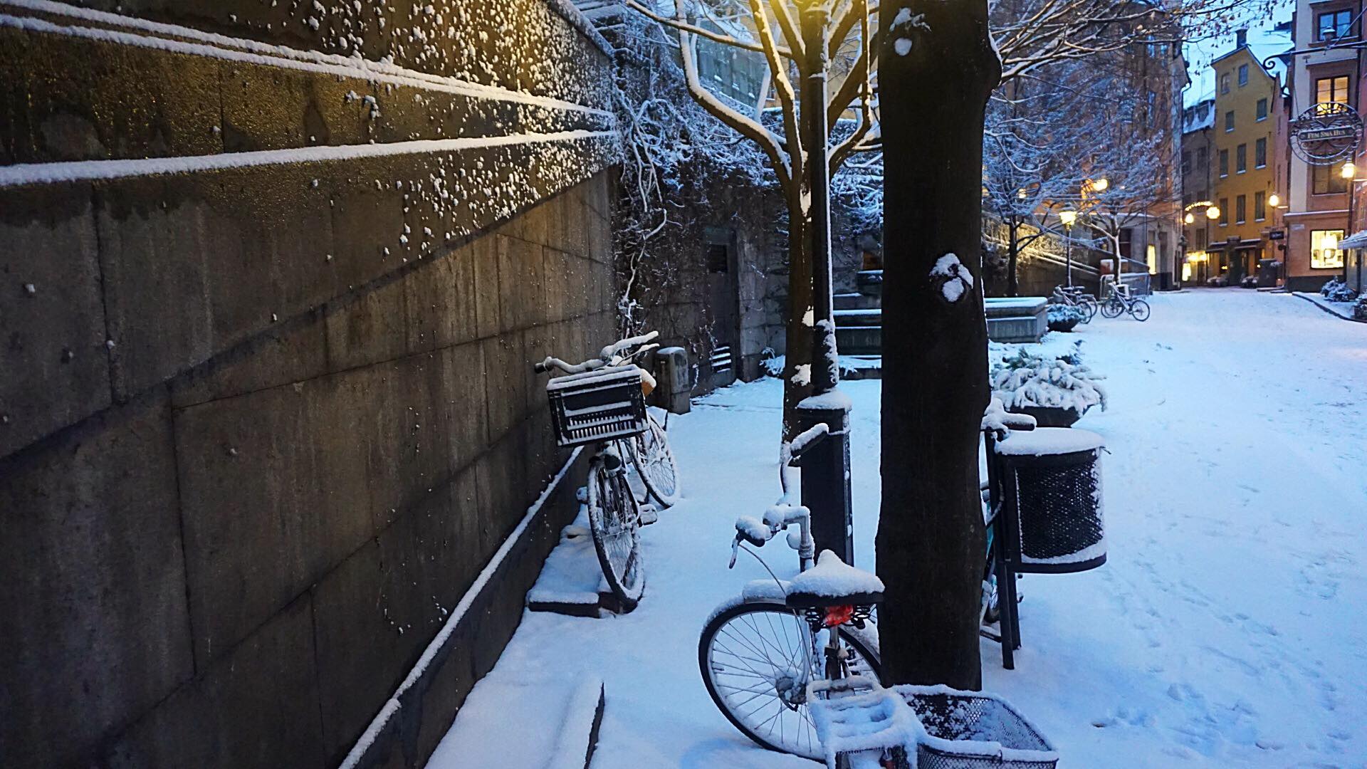 29829273_10213785825592359_456743088_o