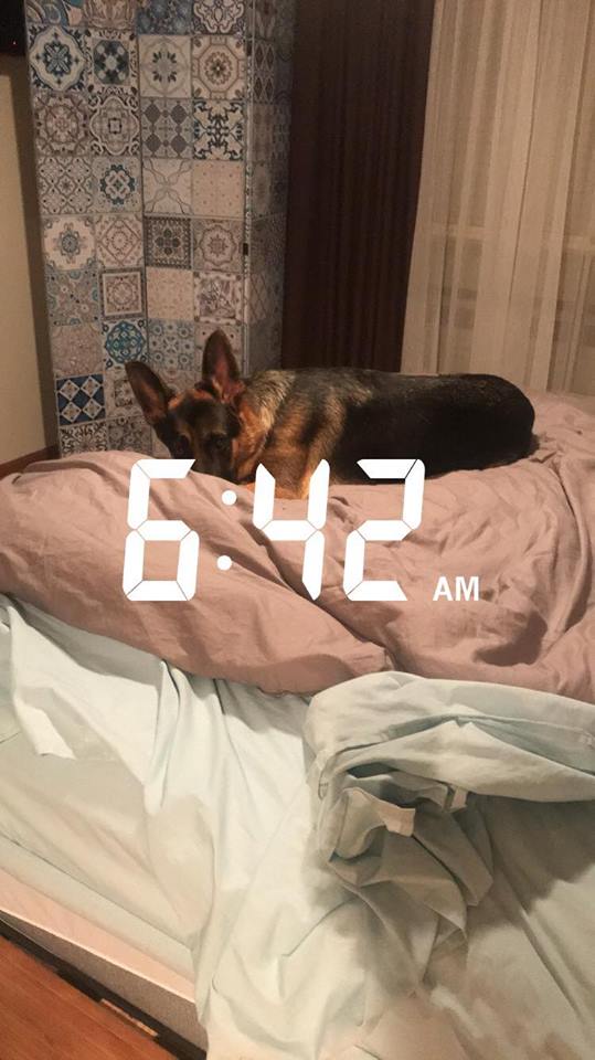 29939182_10213831134365050_1952590406_n