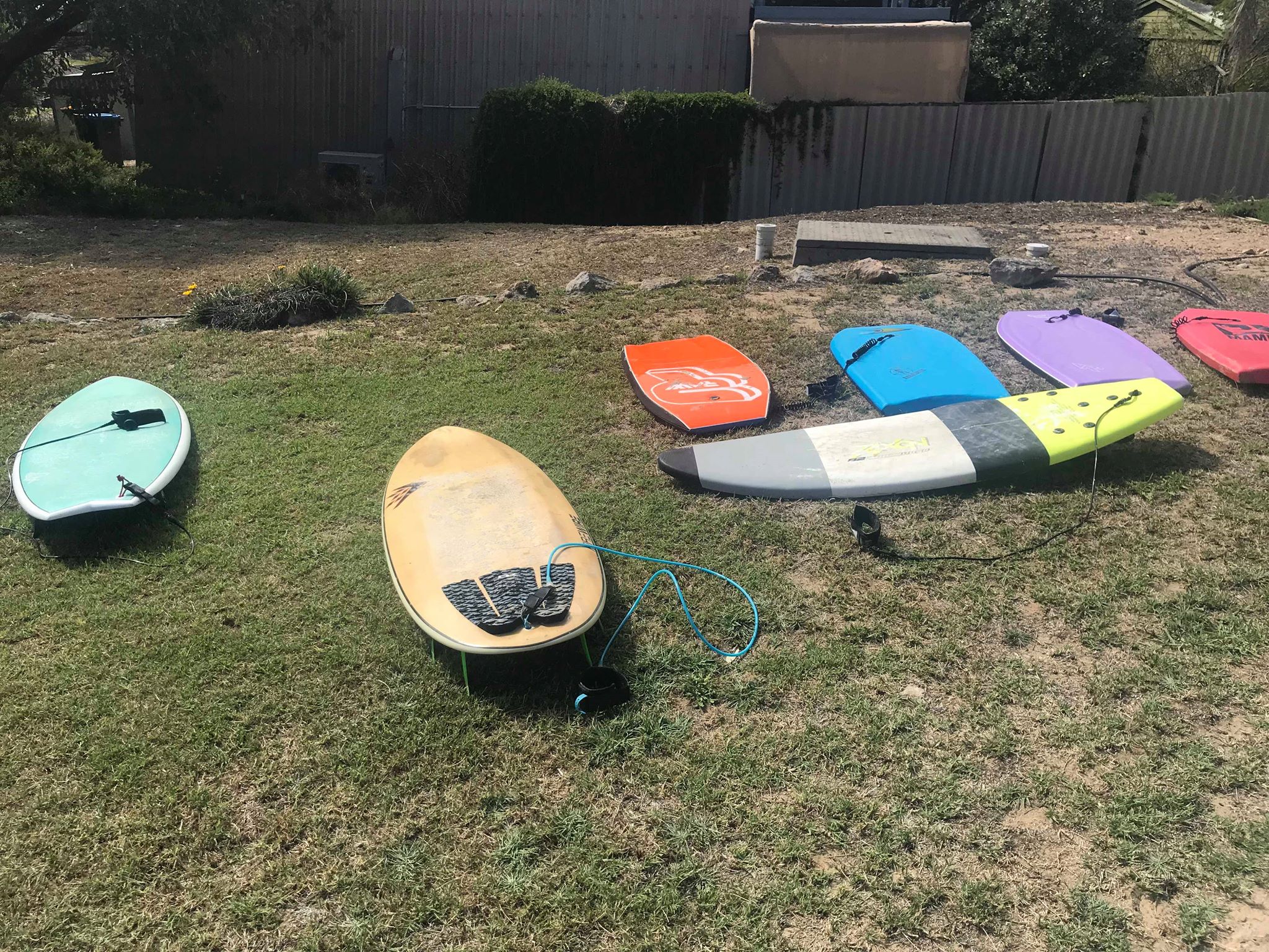 29954886_10213818584051300_87872956_o