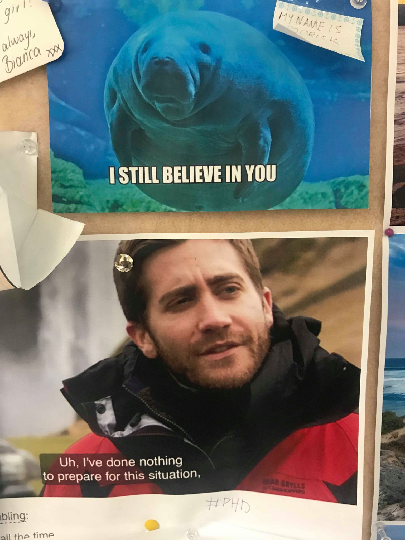 32590530_10214109836252423_5247291519823511552_n