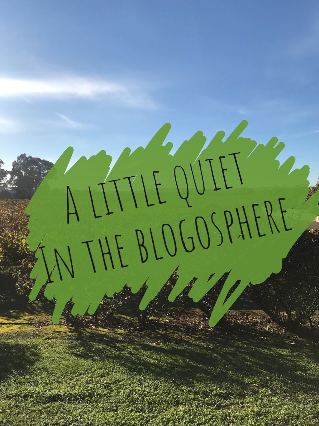 A little quiet in the&nbsp;blogosphere.