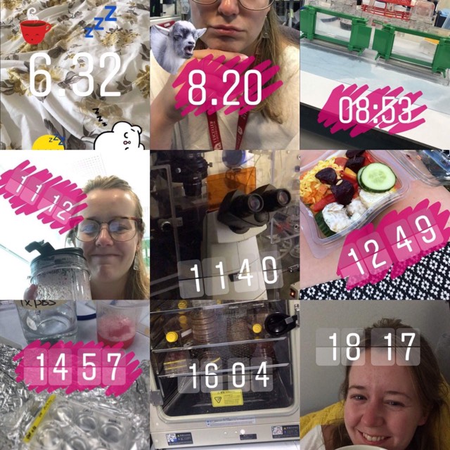 Featured ‘Day in the life of’: Emily, PhD student investigating lung&nbsp;cancer.