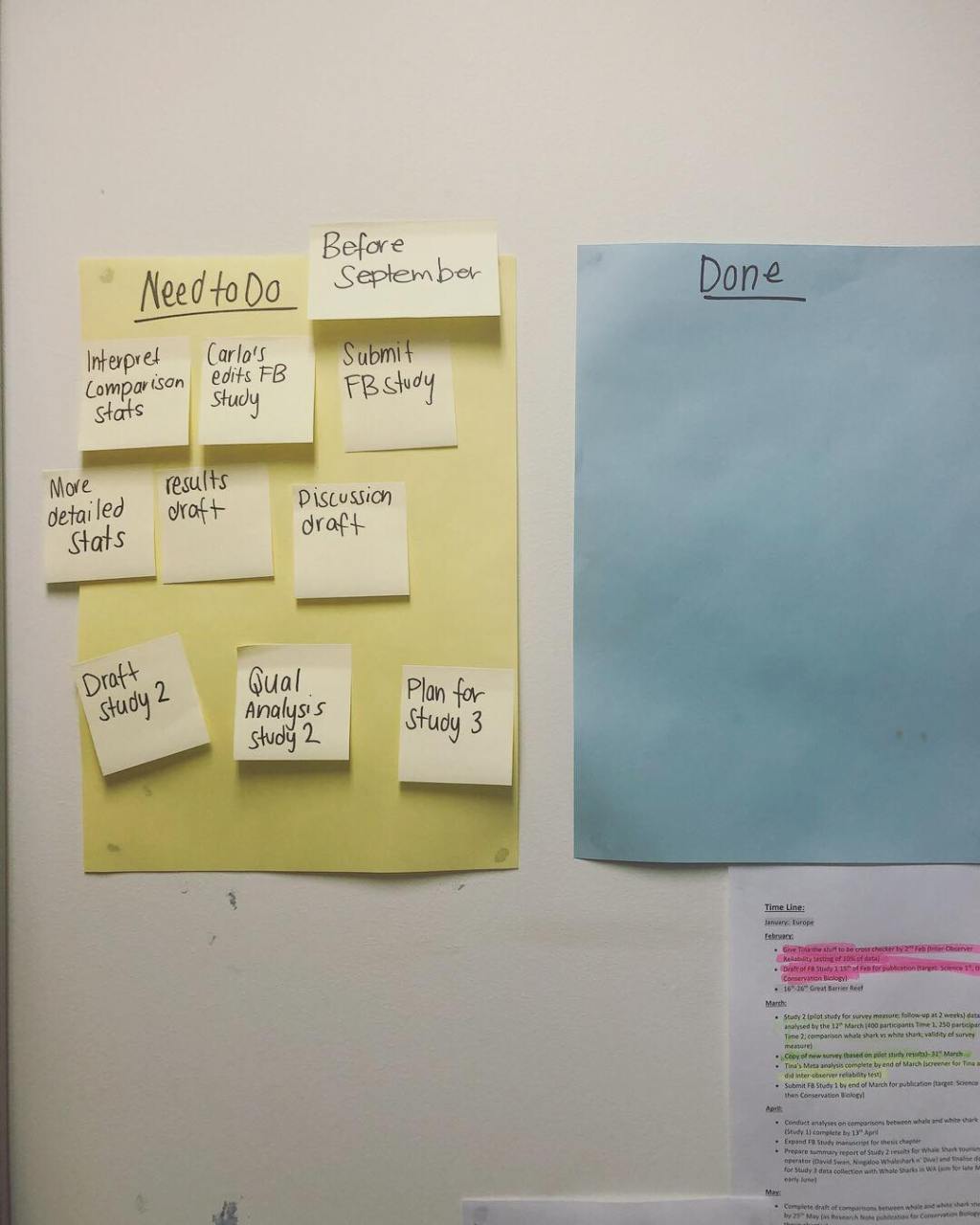 A PhD Update&nbsp;(August).