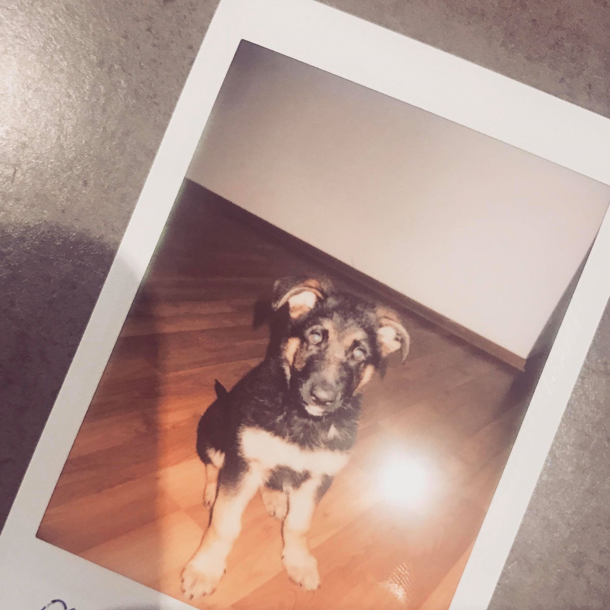 39611412_2181759488734053_4408681240970919936_n