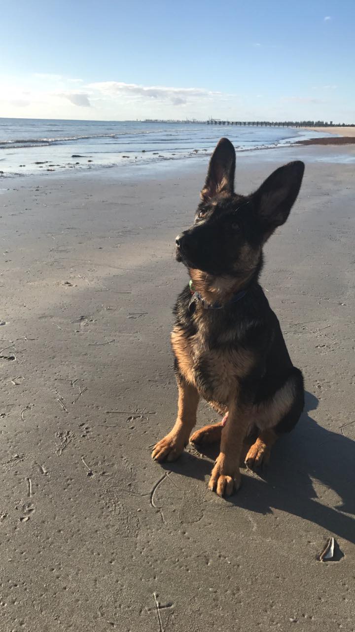 39753042_440441913131009_1583002096356032512_n