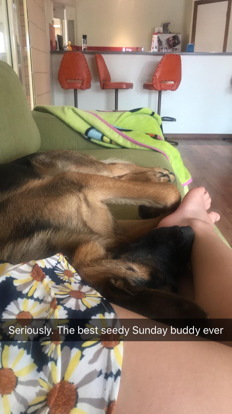 42344310_270934367082822_7927535916380323840_n