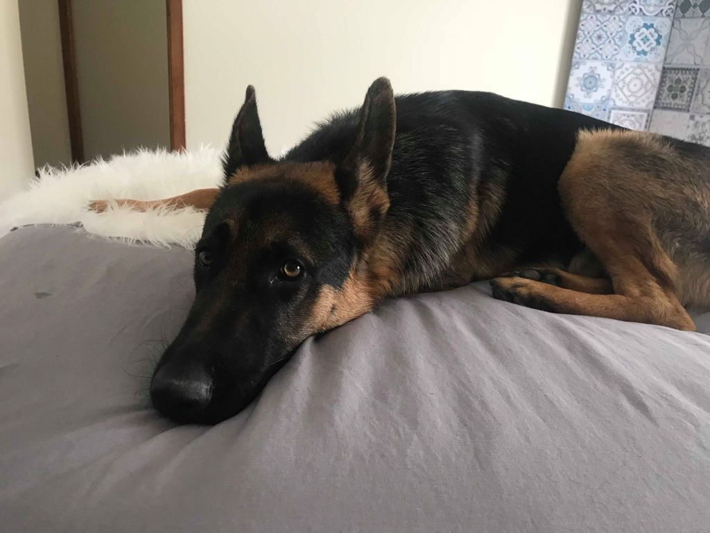 The Blog of Frog&nbsp;(#2)