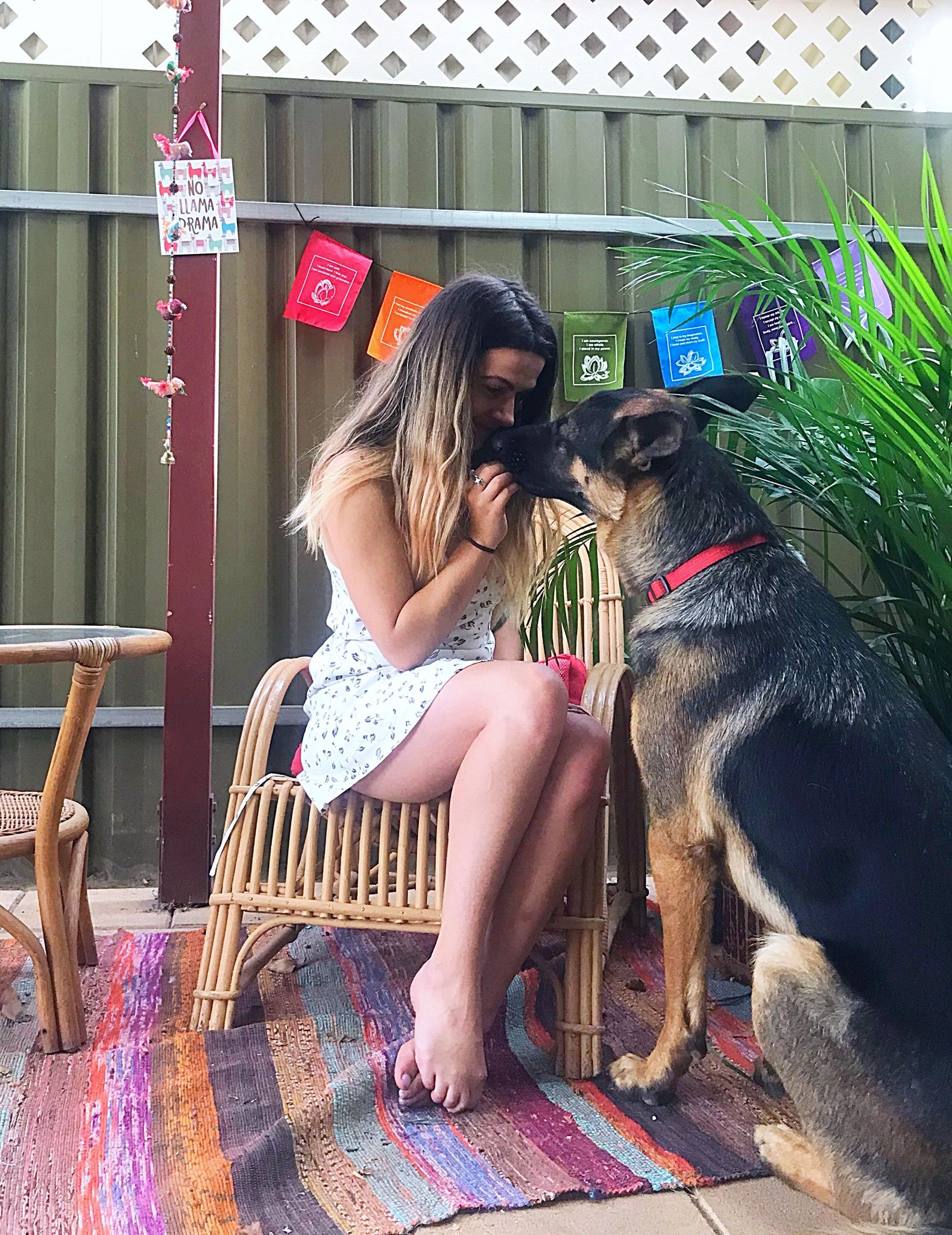 42363815_458992044589470_667698356025294848_n