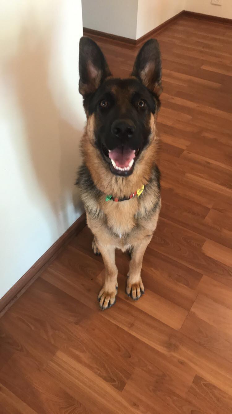 42424739_692324681145918_5640594478415740928_n