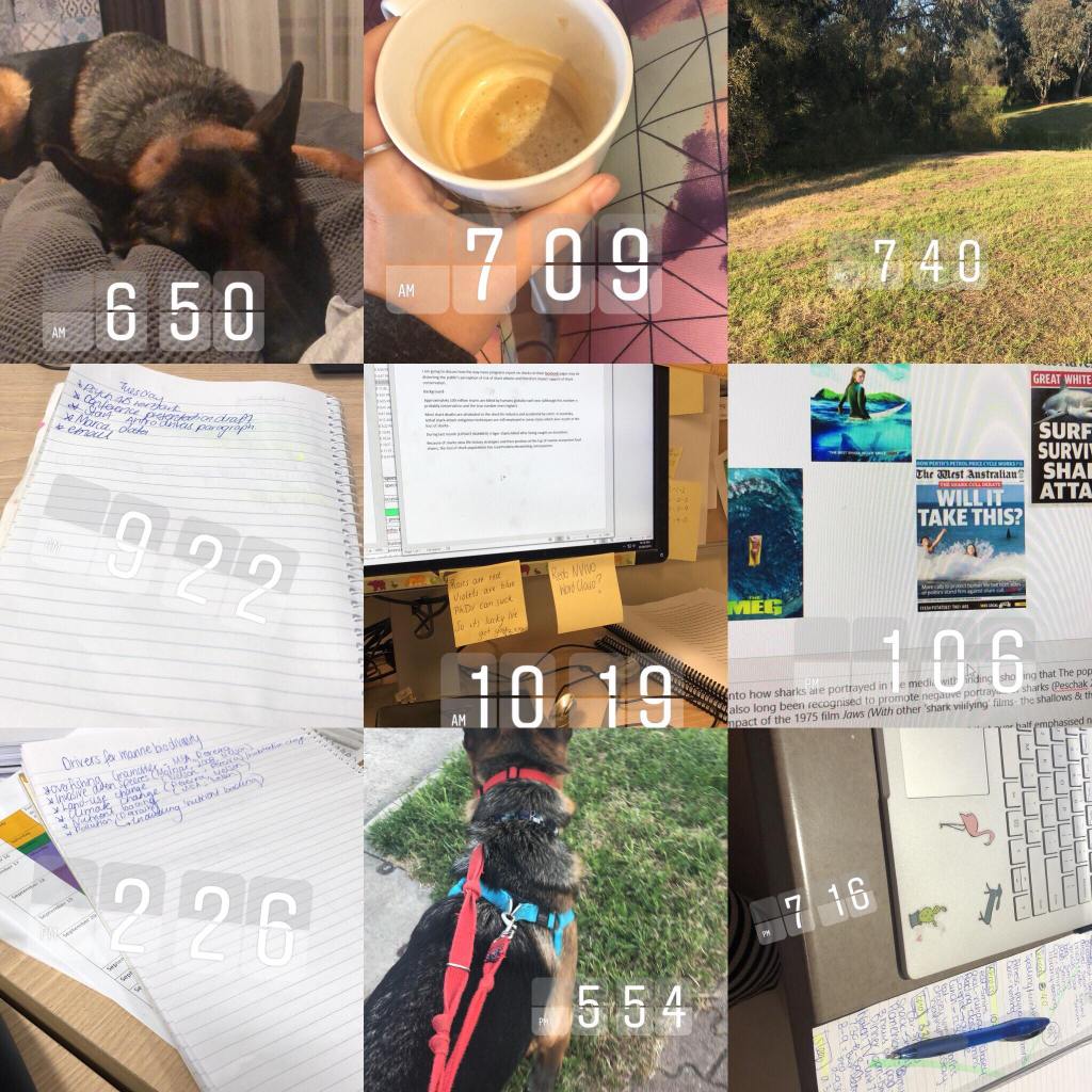 Day-to-Day life of a PhD student: 25th September&nbsp;2018