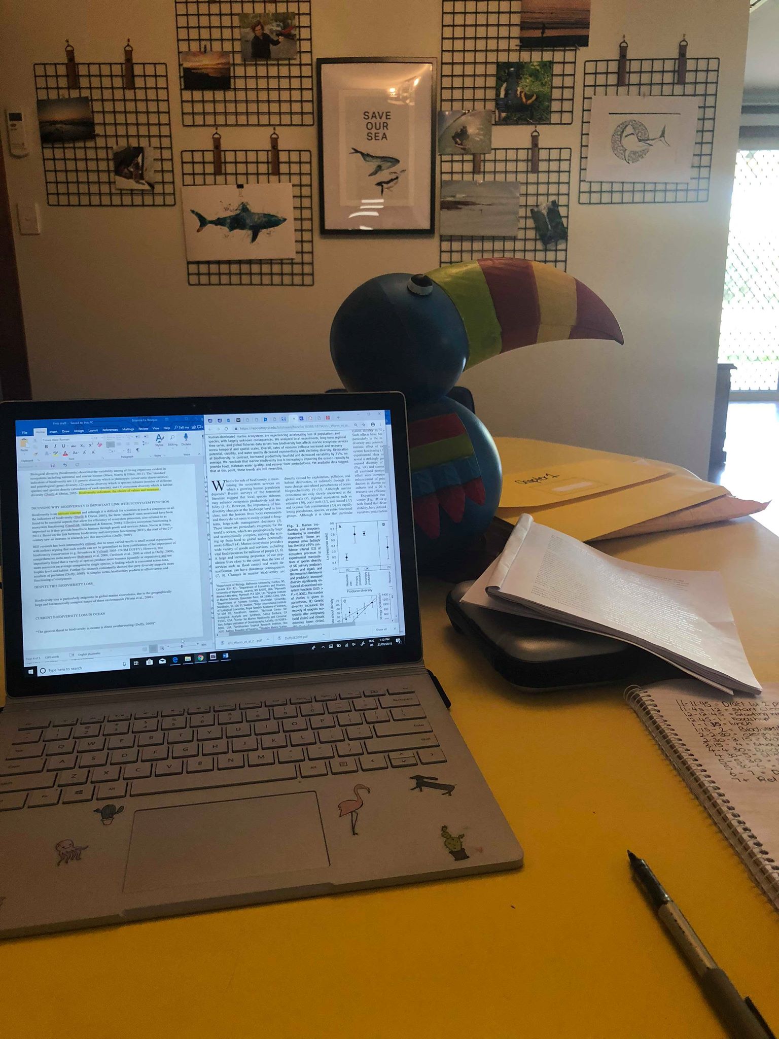 43342665_330896947475099_1088190063918972928_n