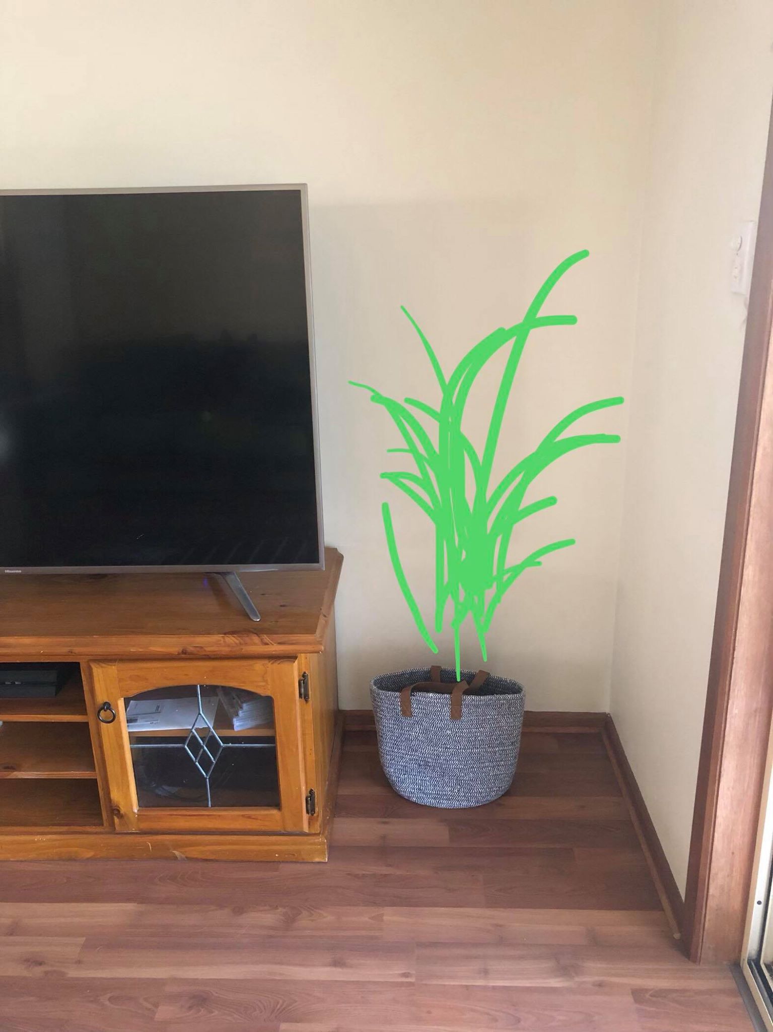 43677187_709110976125567_5026935963549433856_n