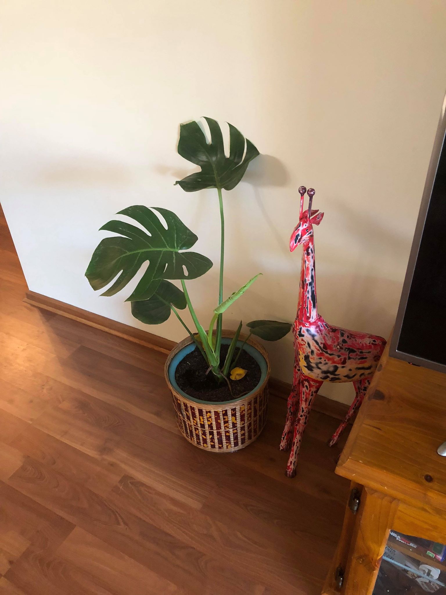 43758119_1104321703068437_4744854202449133568_n