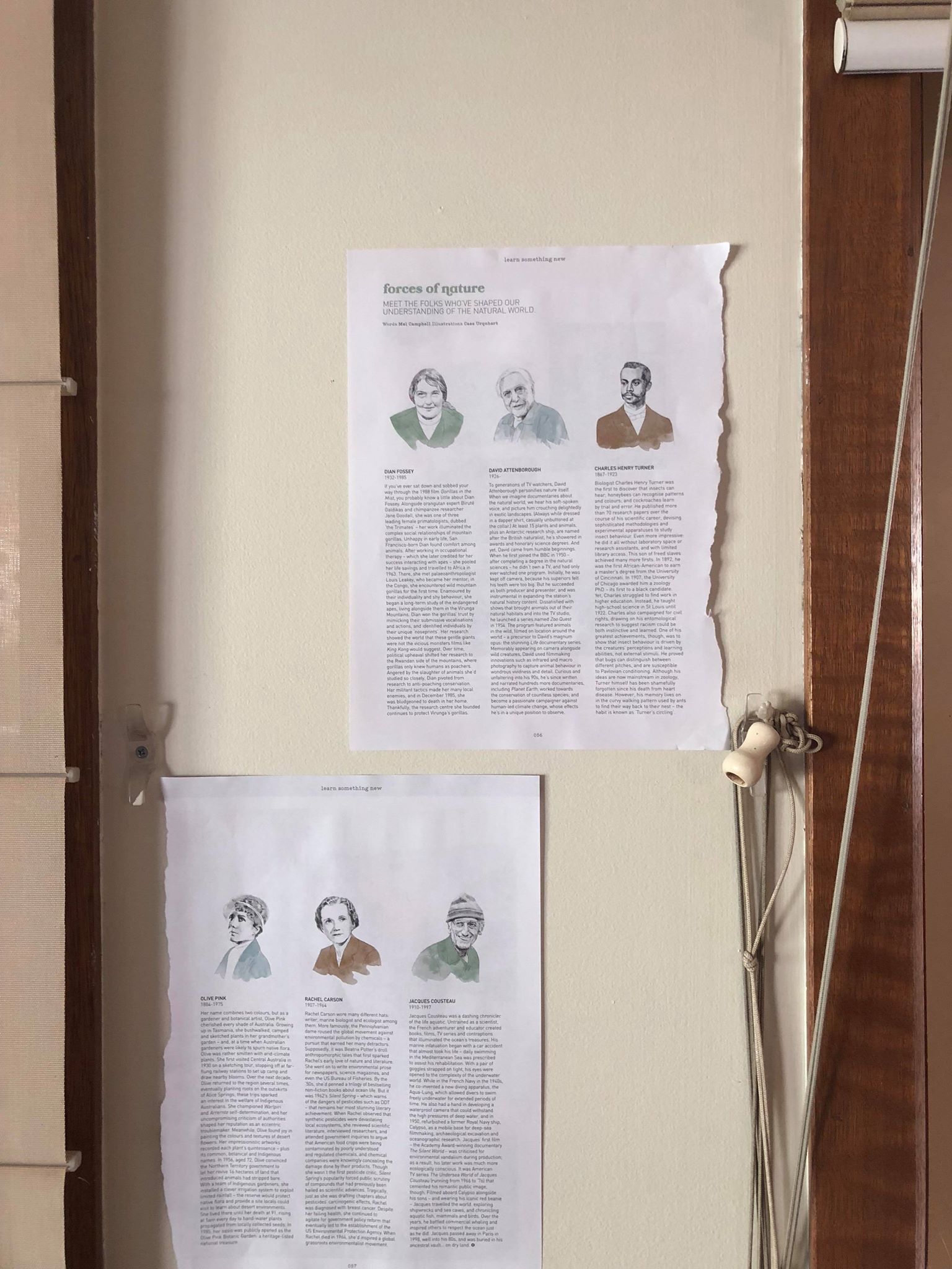 43788861_533164160480043_917837436027928576_n