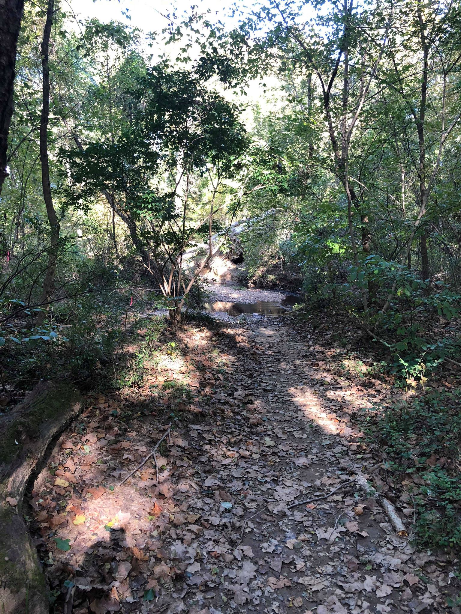 45102723_202570117346190_8968496127615696896_n