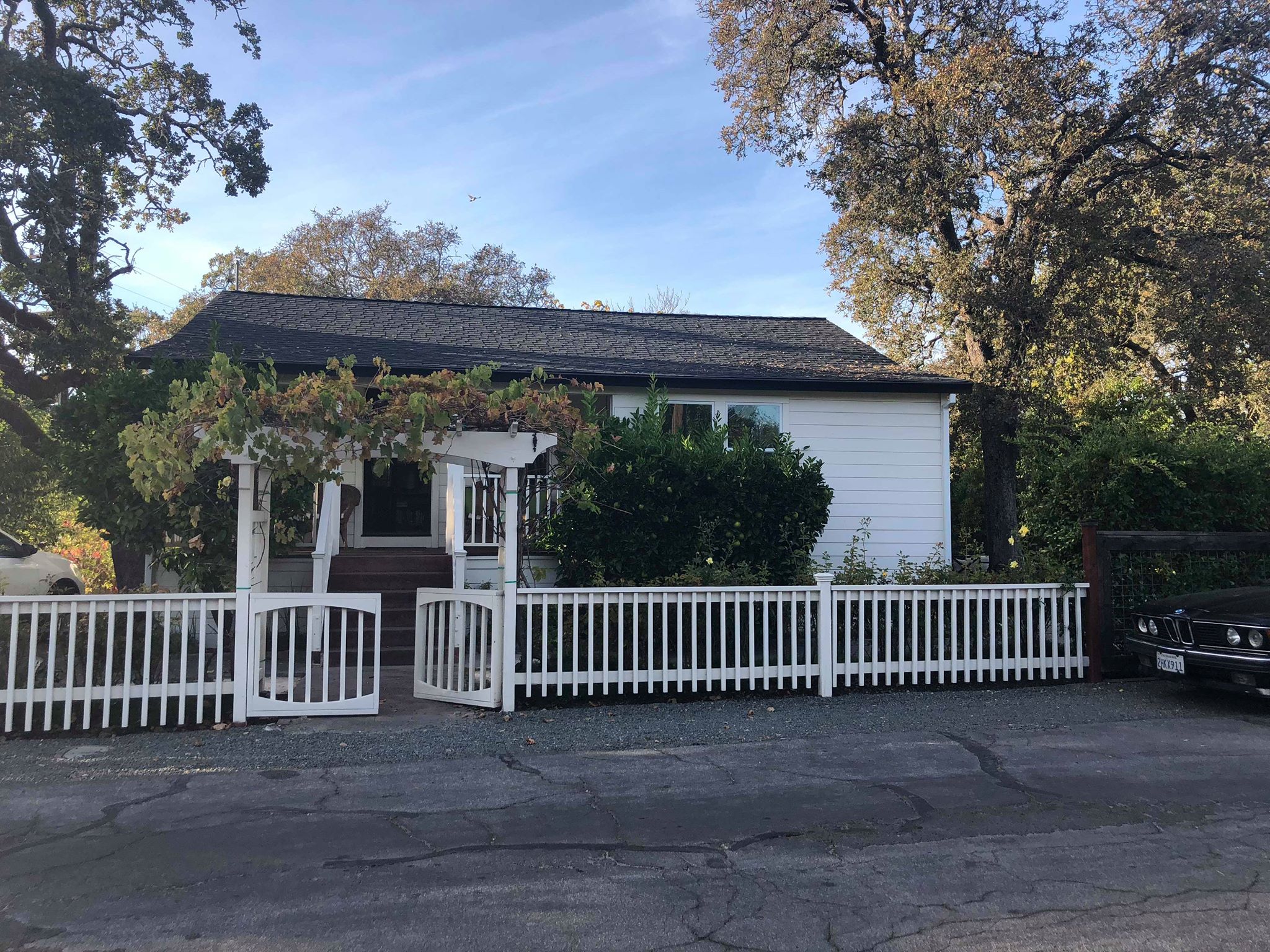 45626262_1927088680738910_4369397919598510080_n