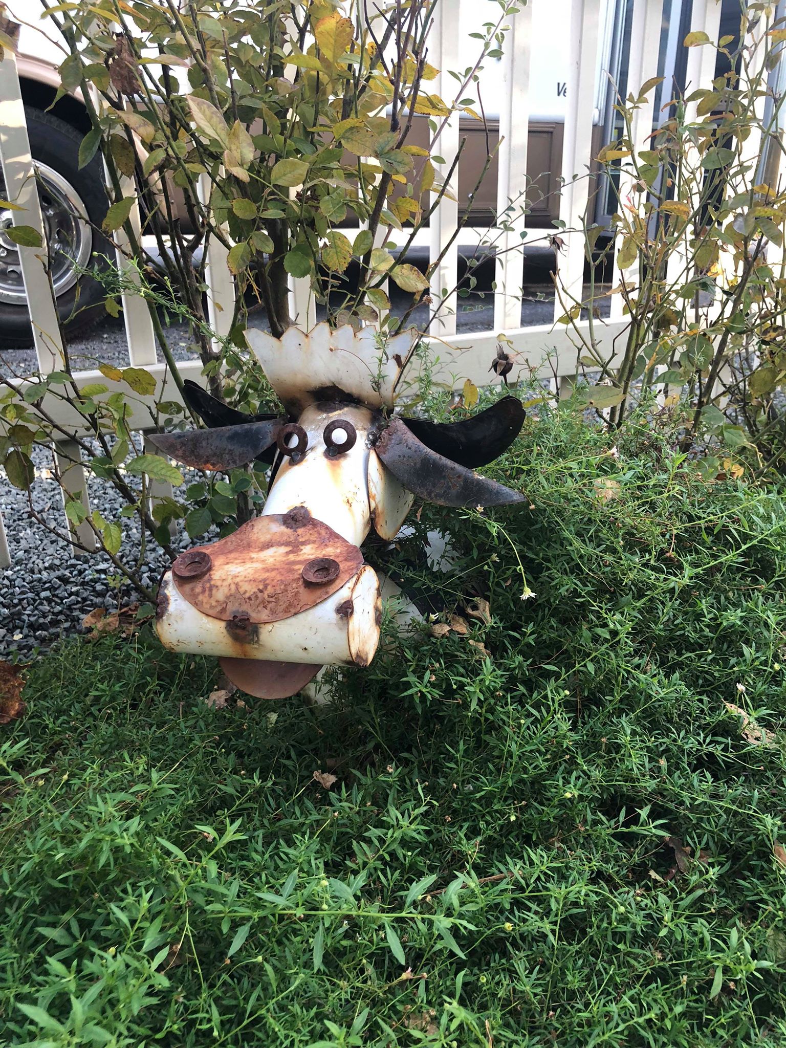 45680367_323032705143264_8432841533174054912_n