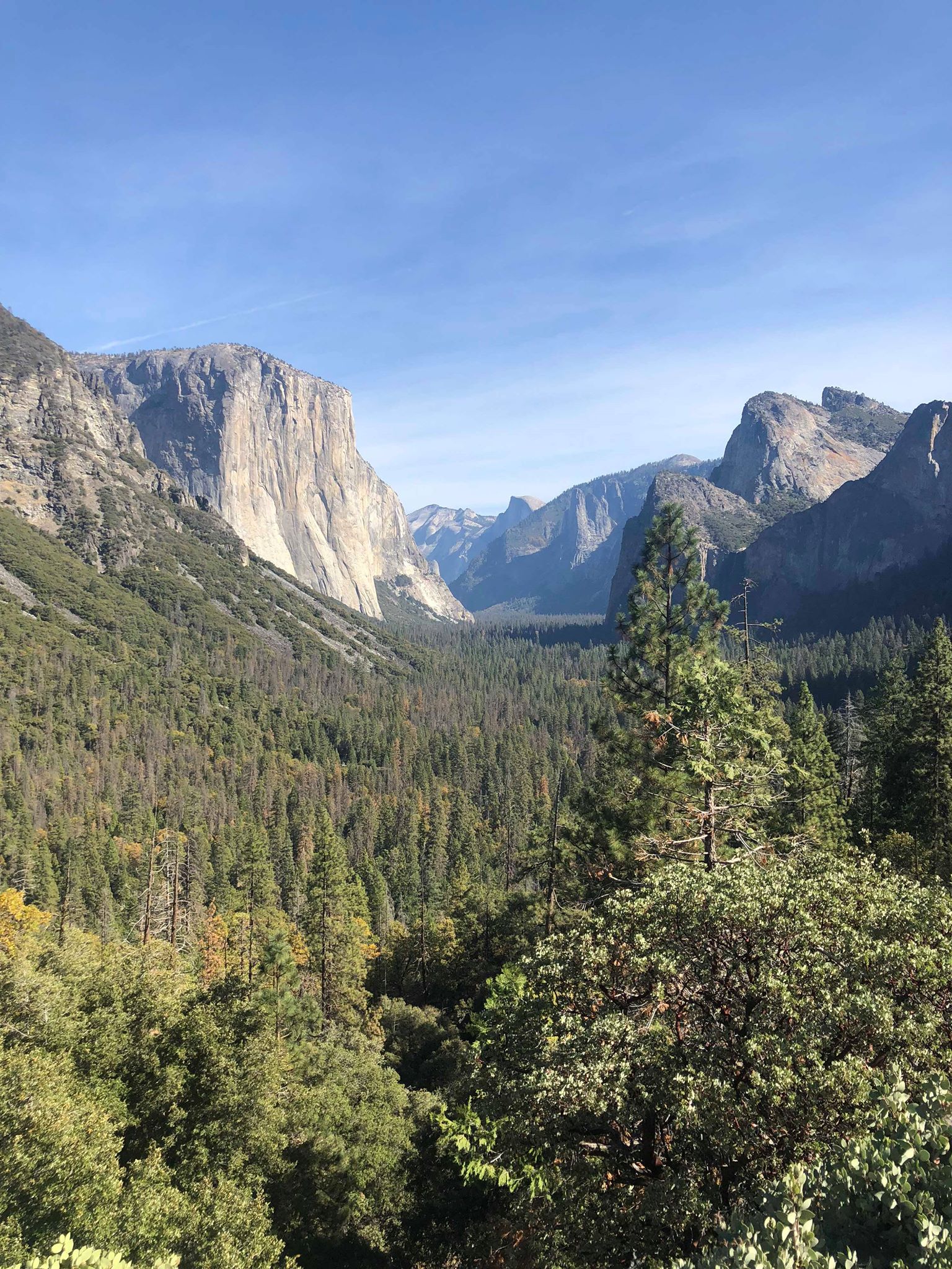 46144574_261044494609416_8081248775814774784_n