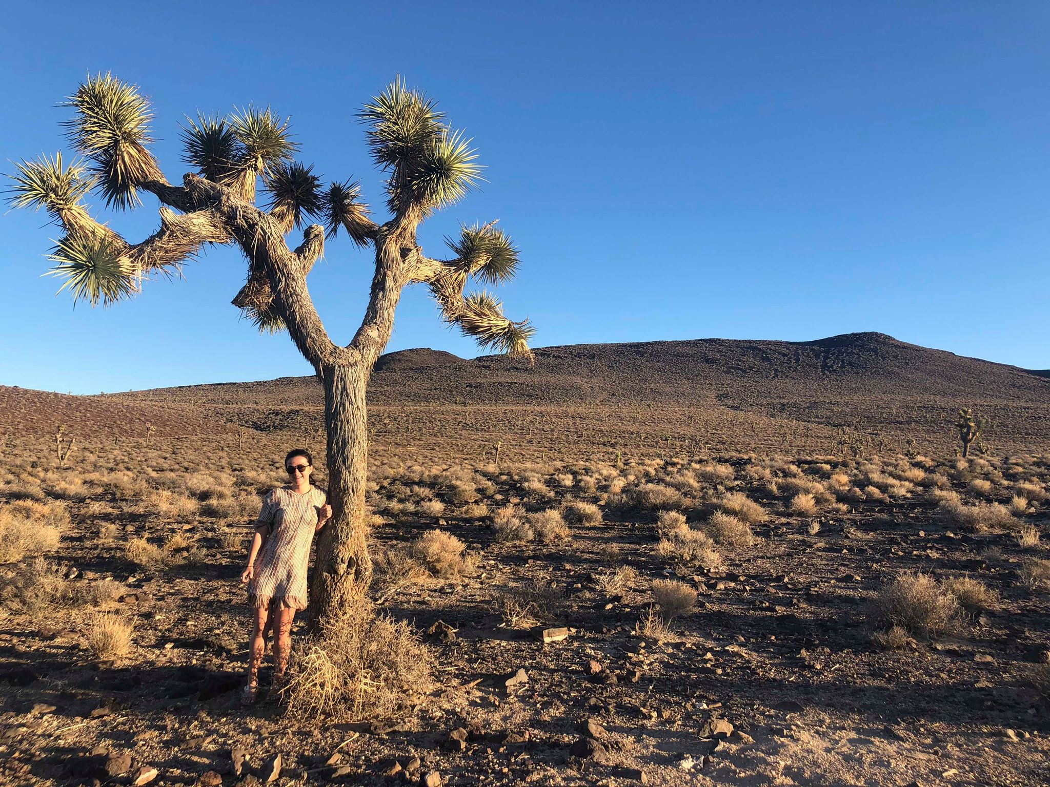 46199795_348652552606818_8680617861472845824_n