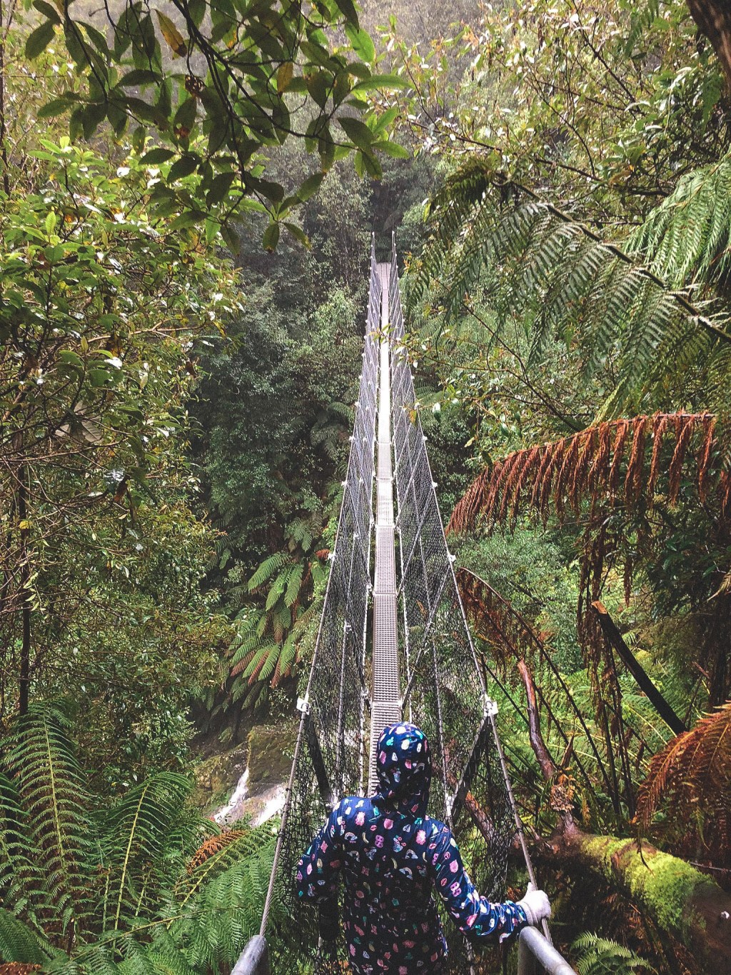 ‘Operation Gtfo’- What’s&nbsp;next?