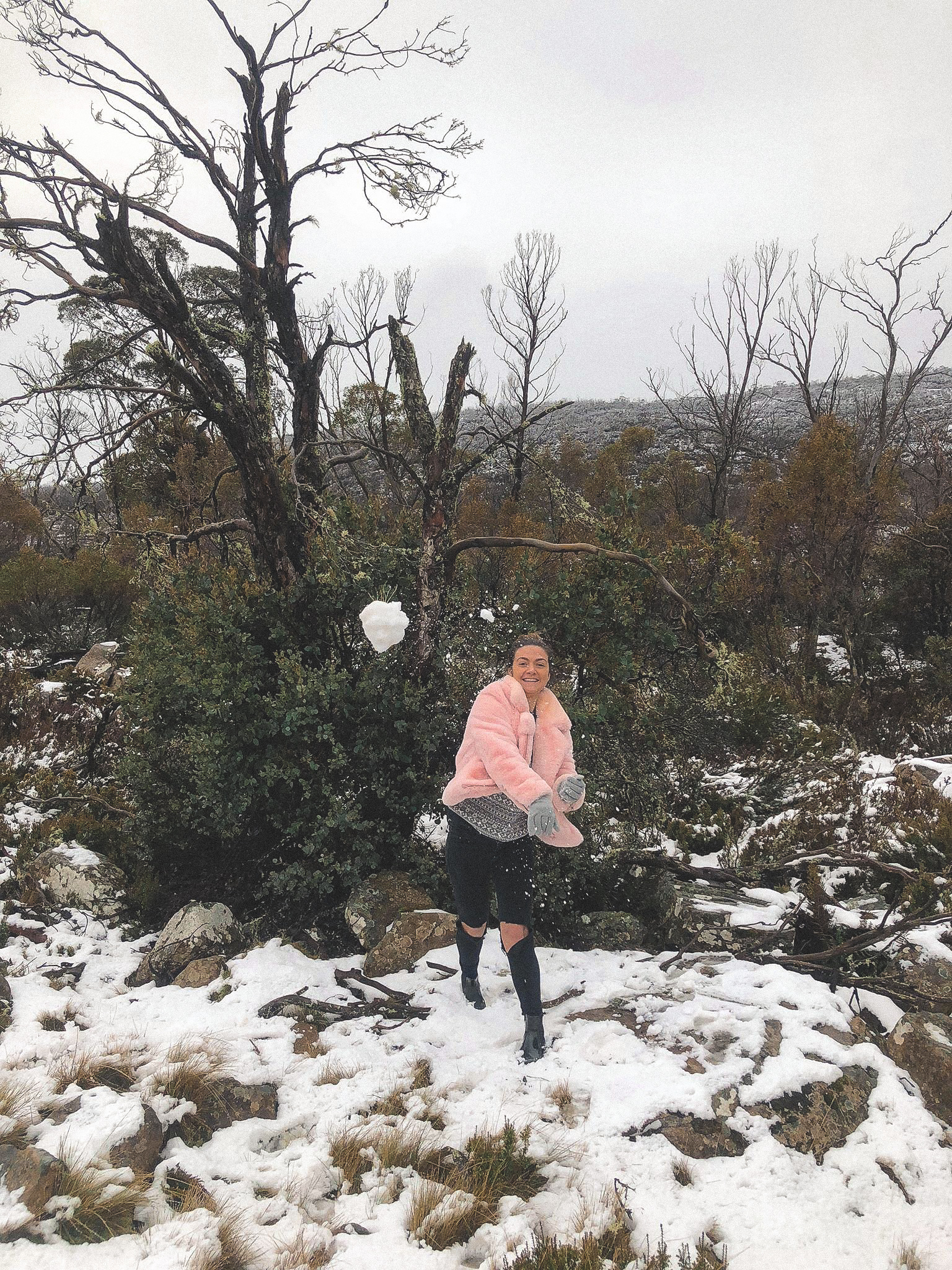 48356198_959601061041209_4097992450763653120_n-2