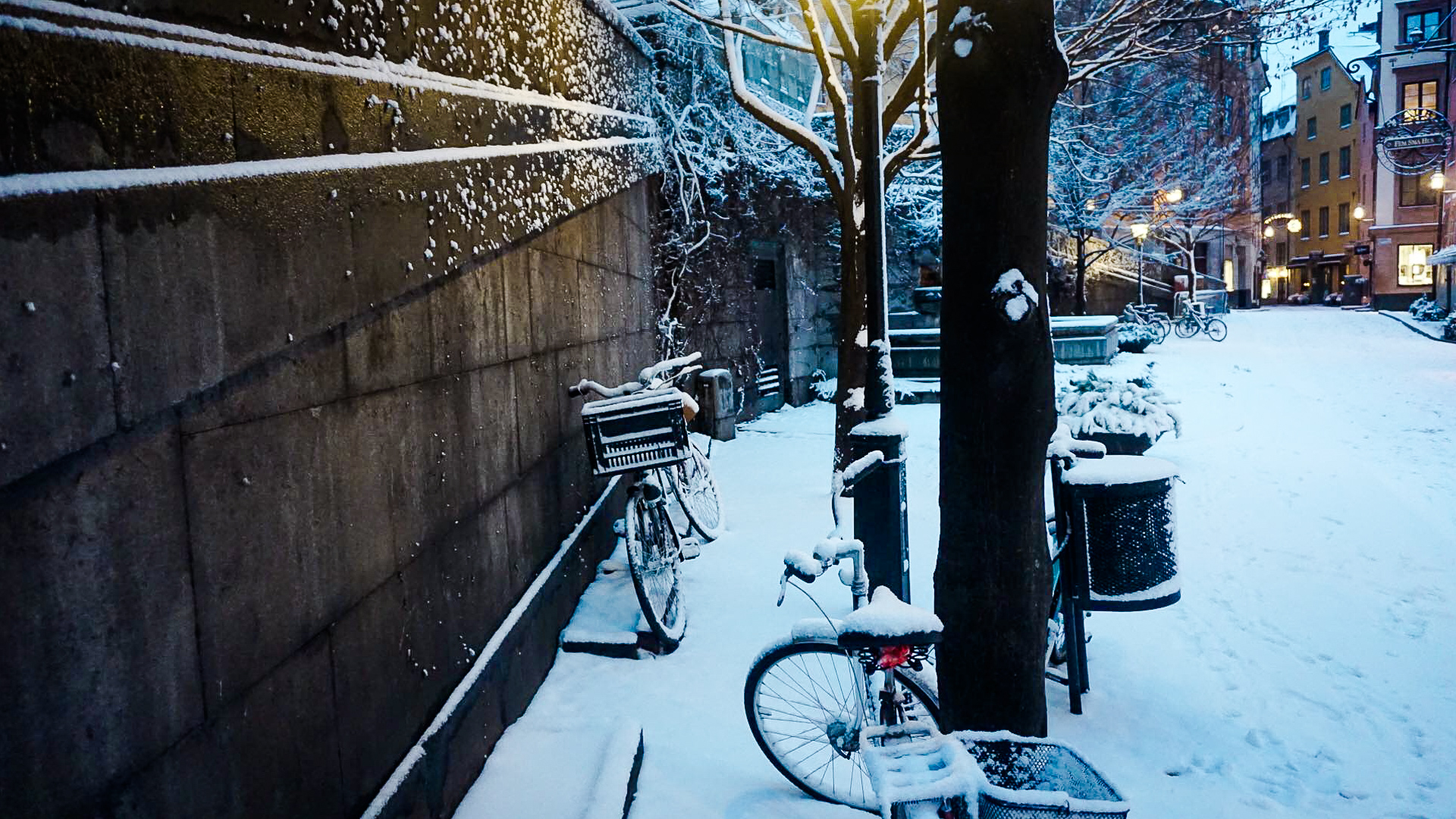 48359244_773000919716389_1725490410949705728_n-2