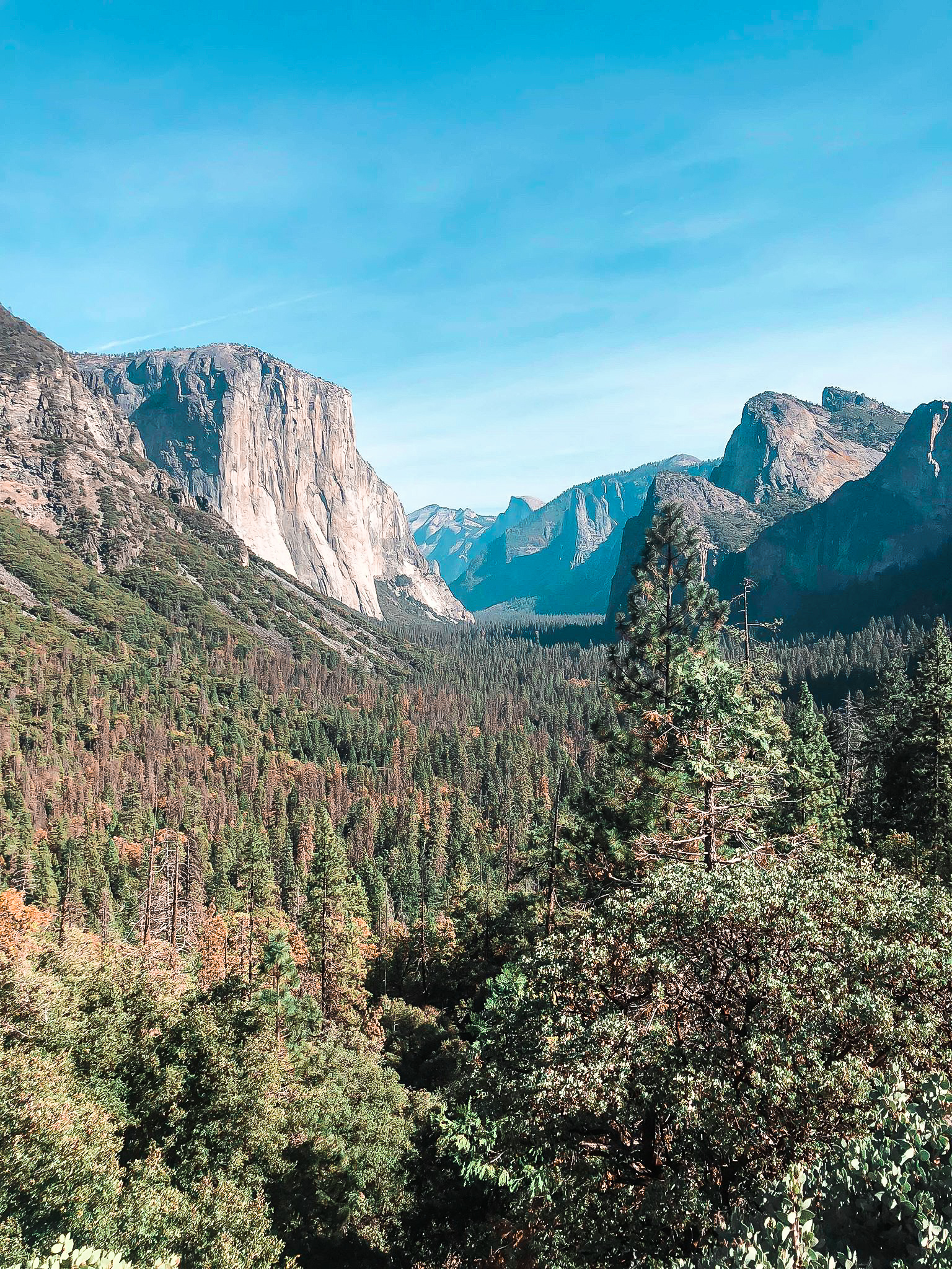 48359688_537876366693432_3202114405131091968_n-2