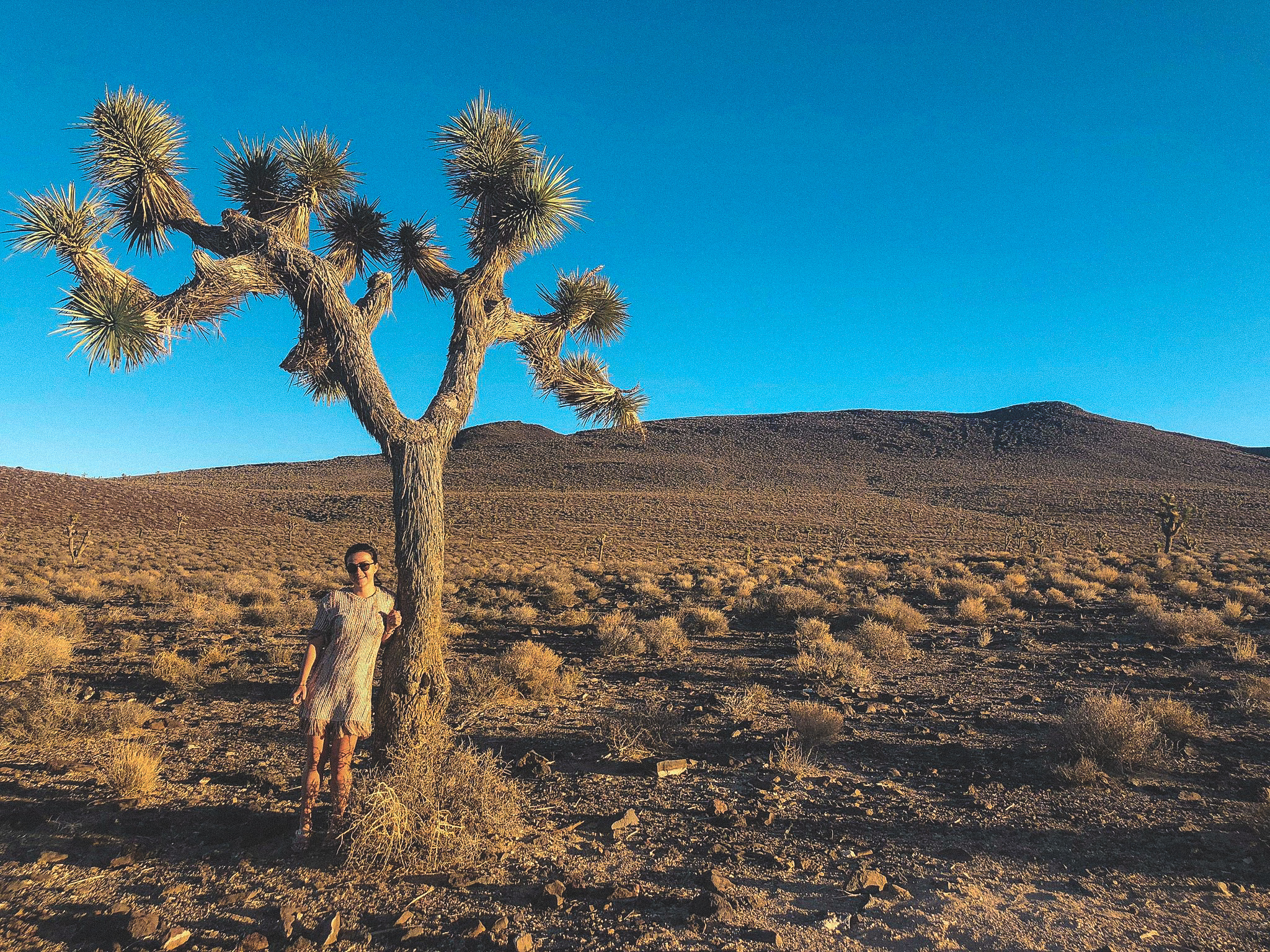 48372785_284504458920323_1159800478846943232_n-2