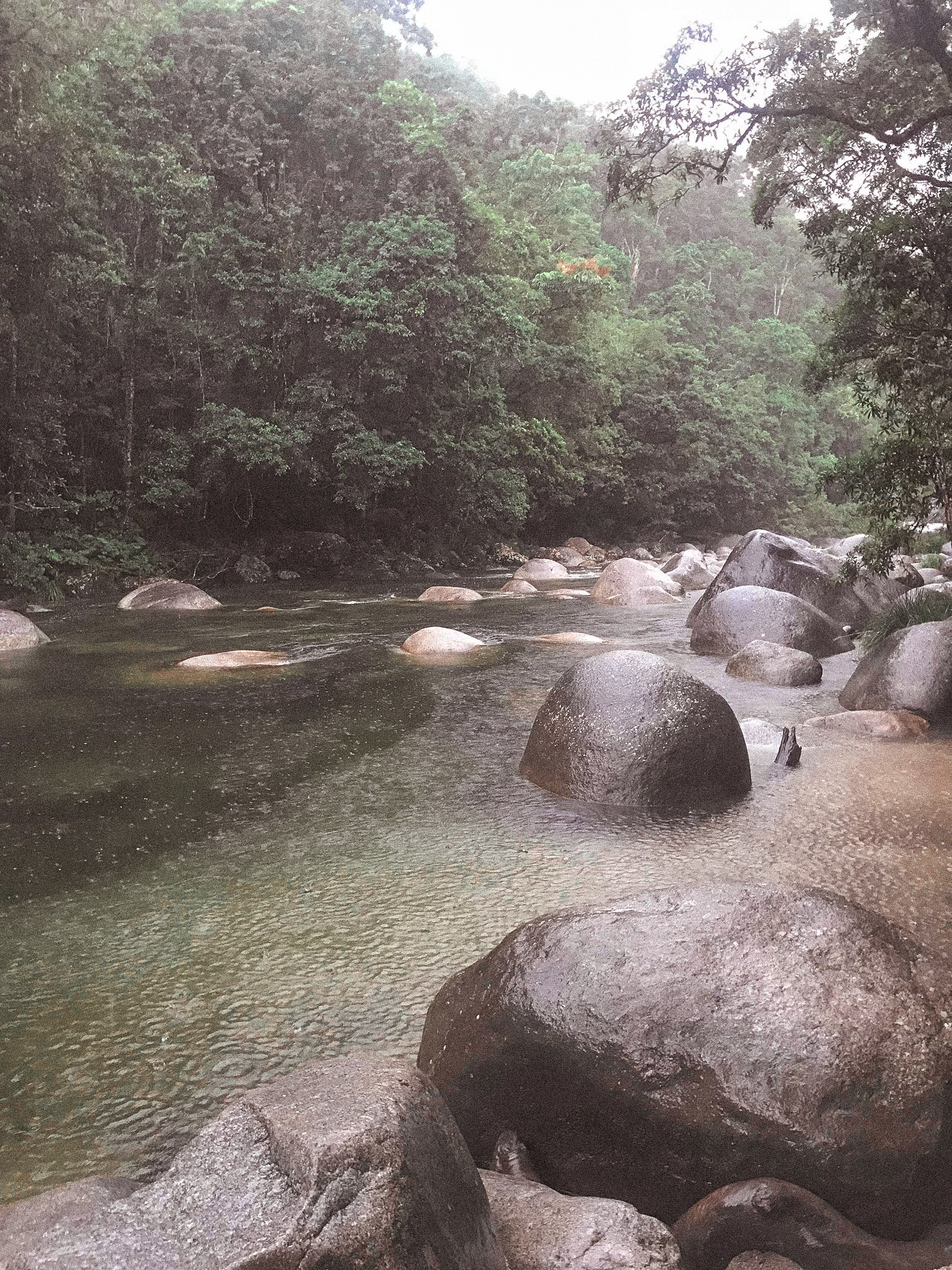 48389468_1494447347324482_2917300026923286528_n-2